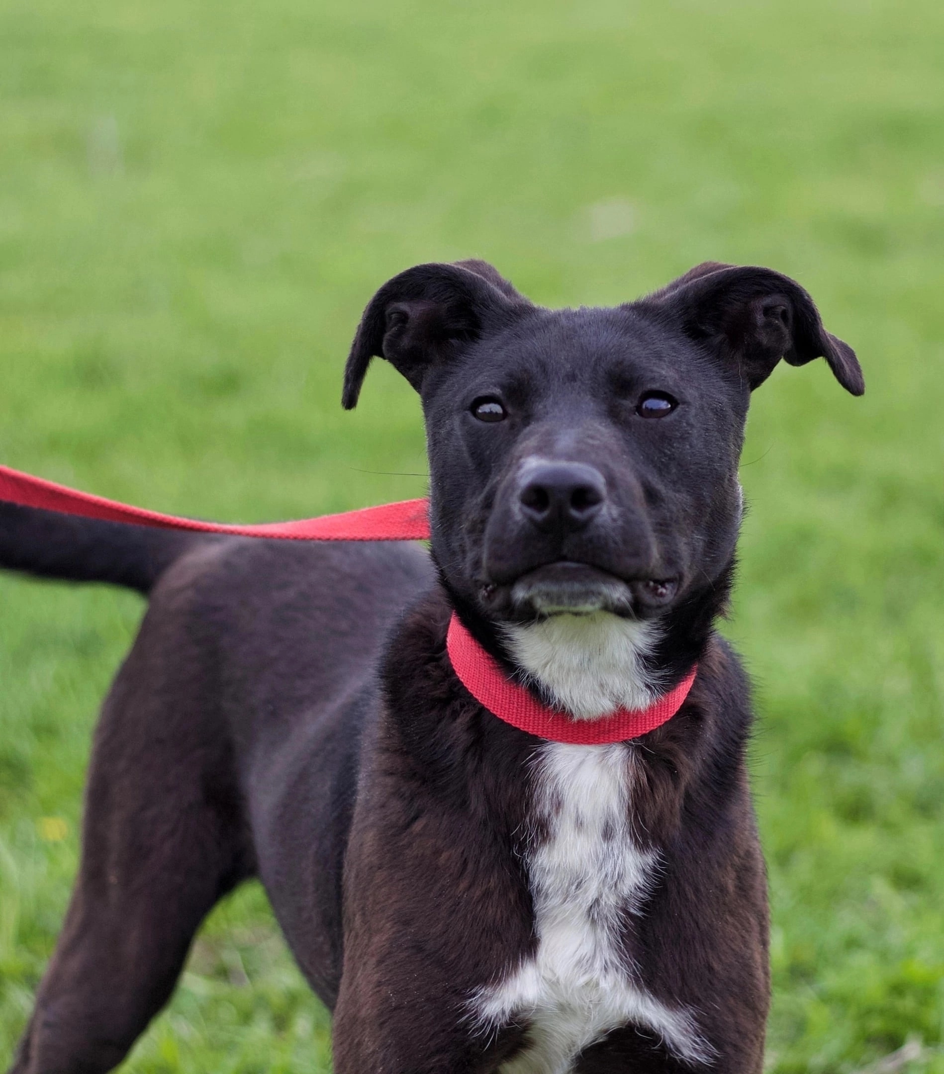 Fe_3De-KUuA5zXsvg-1jljc7xT5iJyxWGDcs3SDoIc8xvJY6ppDwrWRhrMzMzSdvm2JKttSh5JWLeLcClqhfmp9R