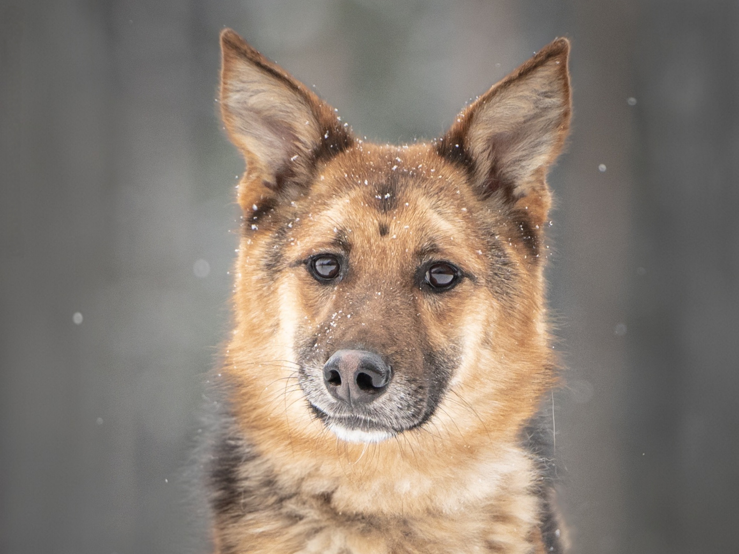 InShot_20260320_1505555131