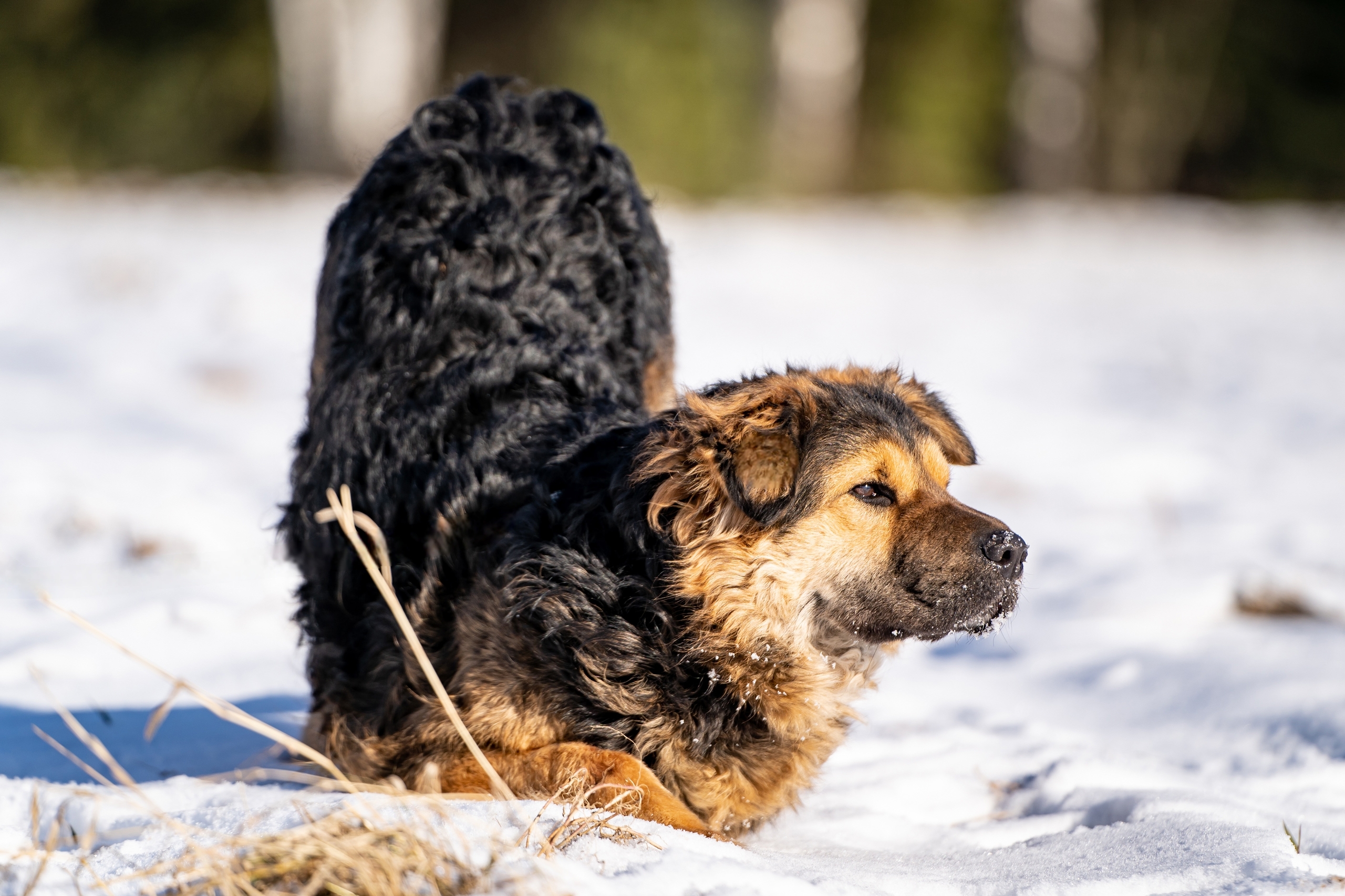 KYlkqZ1Lujt32Ig5irY139dPkbNg6q8i9-abtcf_YIAljd-ggAwn6hD13JY6_fkuj_ifF_jx7rUVe10o39CxOmgt