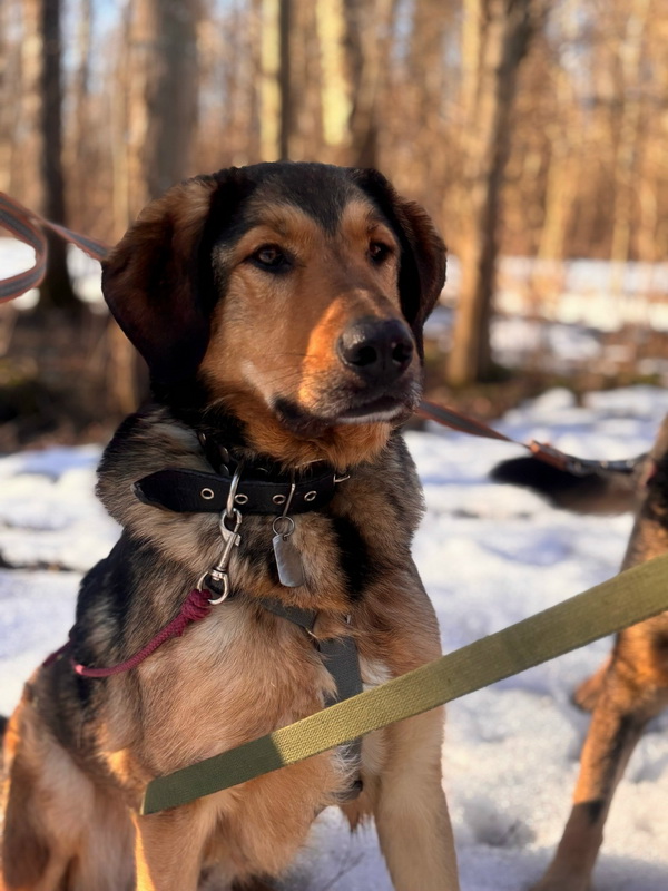 LWGfa9ES4EKWSJO_TqOvgMM7t3c8VpA-m6XJkx-pGezChZ1QOYSwZg78889BAgVALeC3OiIAuzONpGEhM-U6V79g