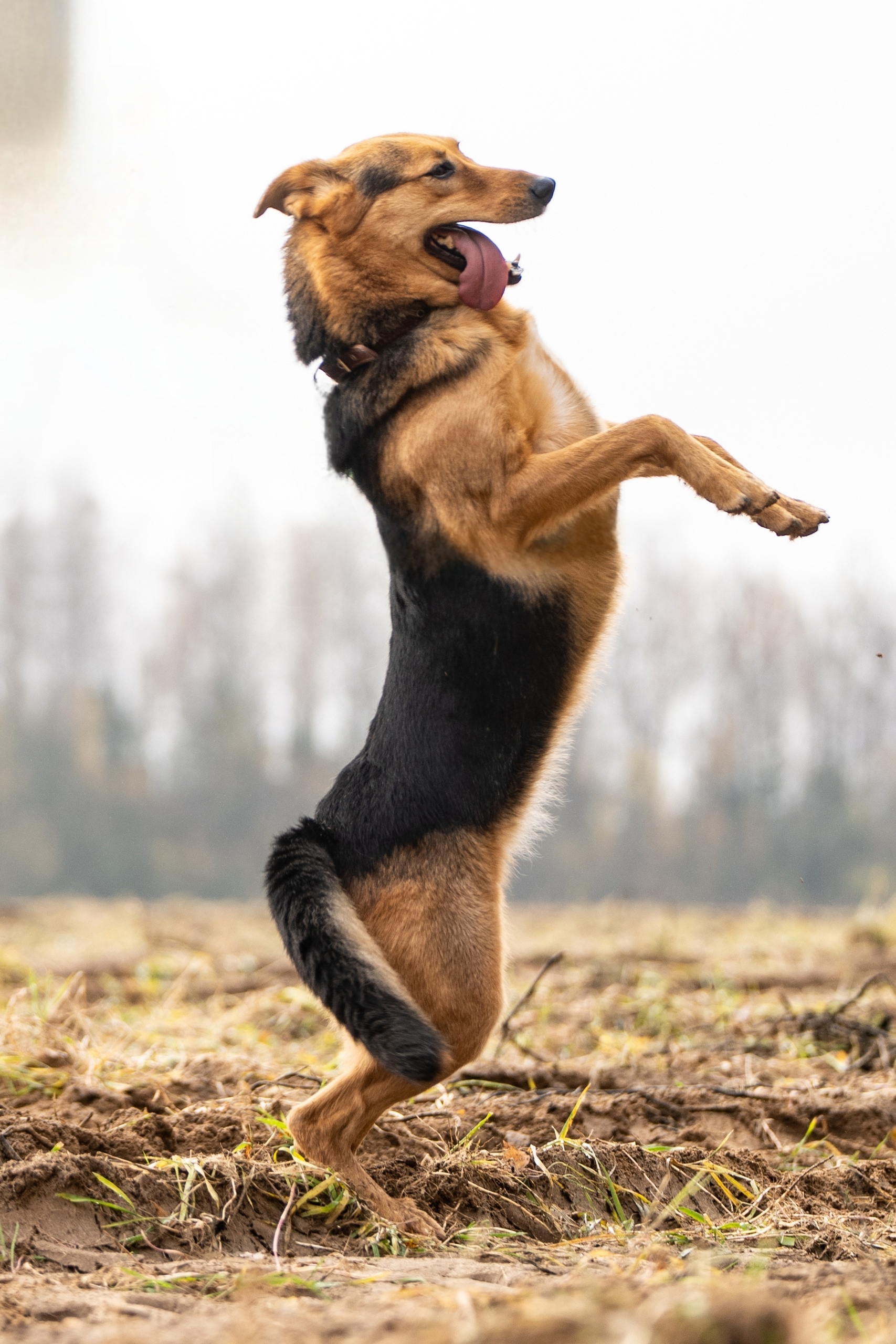 MHJGL_-MT76y2Nez_DspWcCENazZ9fy2Nh4F75hIIm54e9_mFZVelExrPjJm892kHoJMdBrvf4YNTmBw7LLEWW2q