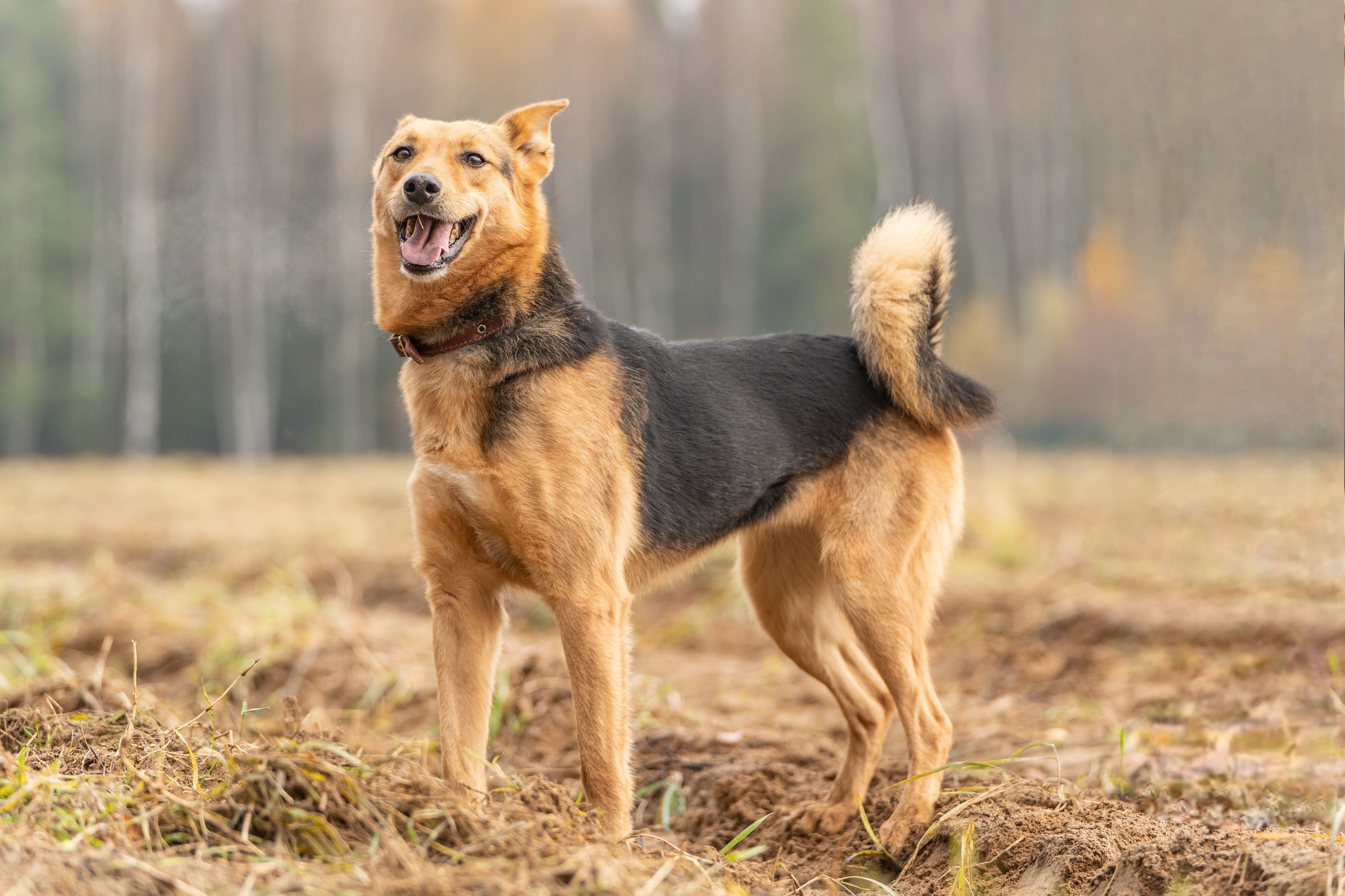 OfJcNZV2BY9XaVnq-8JlI-PfguWeUqw2o4LY_KOmWmWz3UPE9Q_SsGW5ux1s0iC63_UoHV0Rz_zCpz4bteB7vp_q