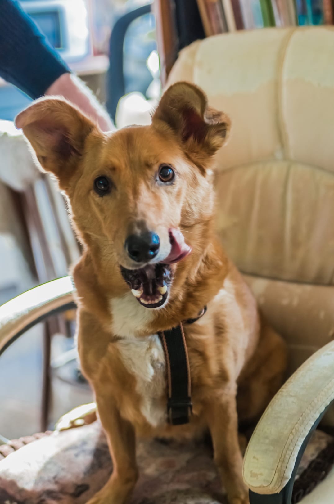 PNq-zLAbxPs4clc65AS4VgGYu6ySSK3I1r1-72sfeqn4UkHJvnyitEX_1FikNbwAAW7b0NAtBo3NGQYASQSeVy19