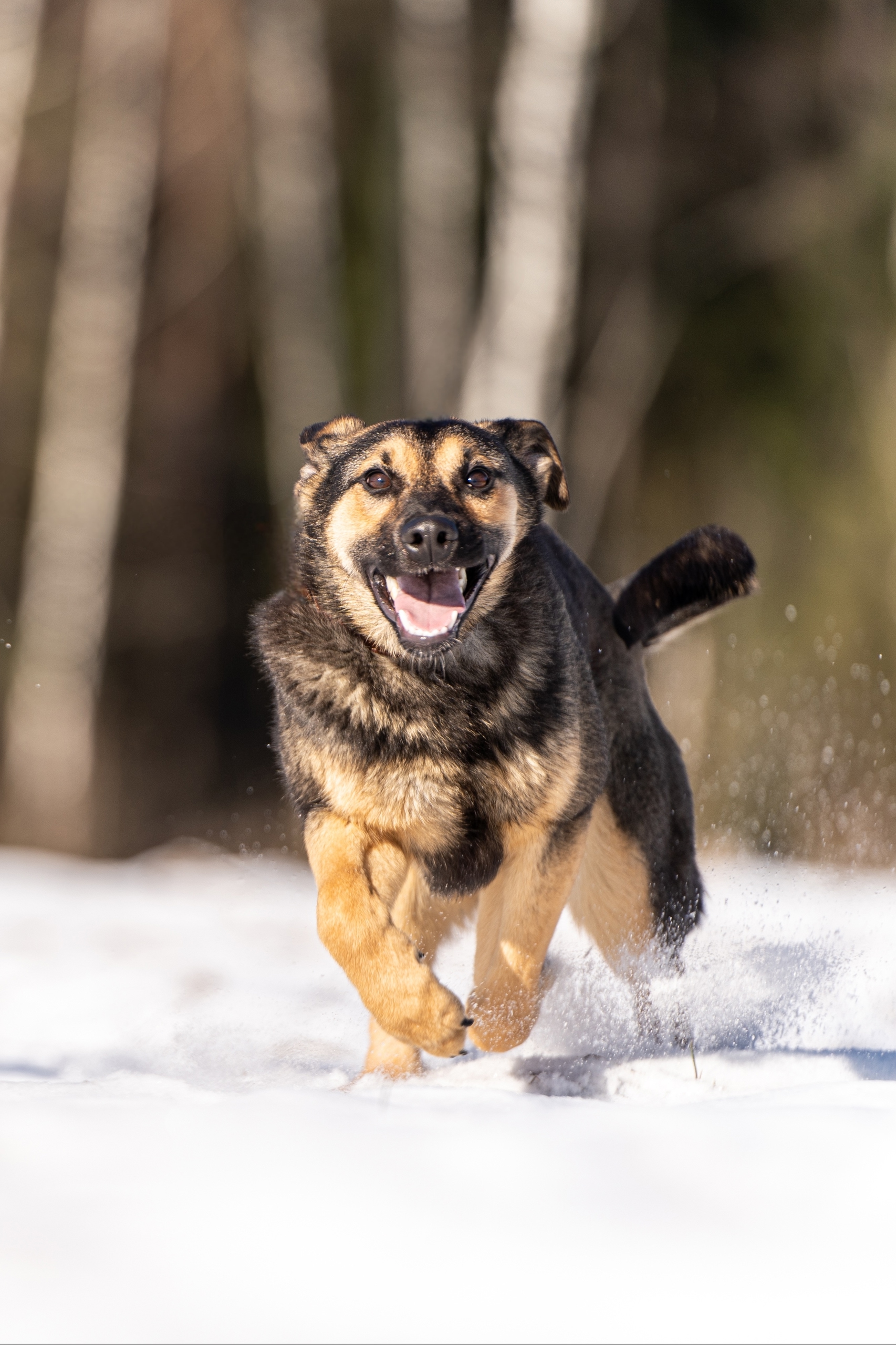 PzlyDMdTsaTyu-_nQDuSjCgCNa2Jel4Ggxz6t1HllzE-xeaNAE_EX5I0J1ll-zRIYOJKY8wDXjeyLrsfCLj2T3Qk