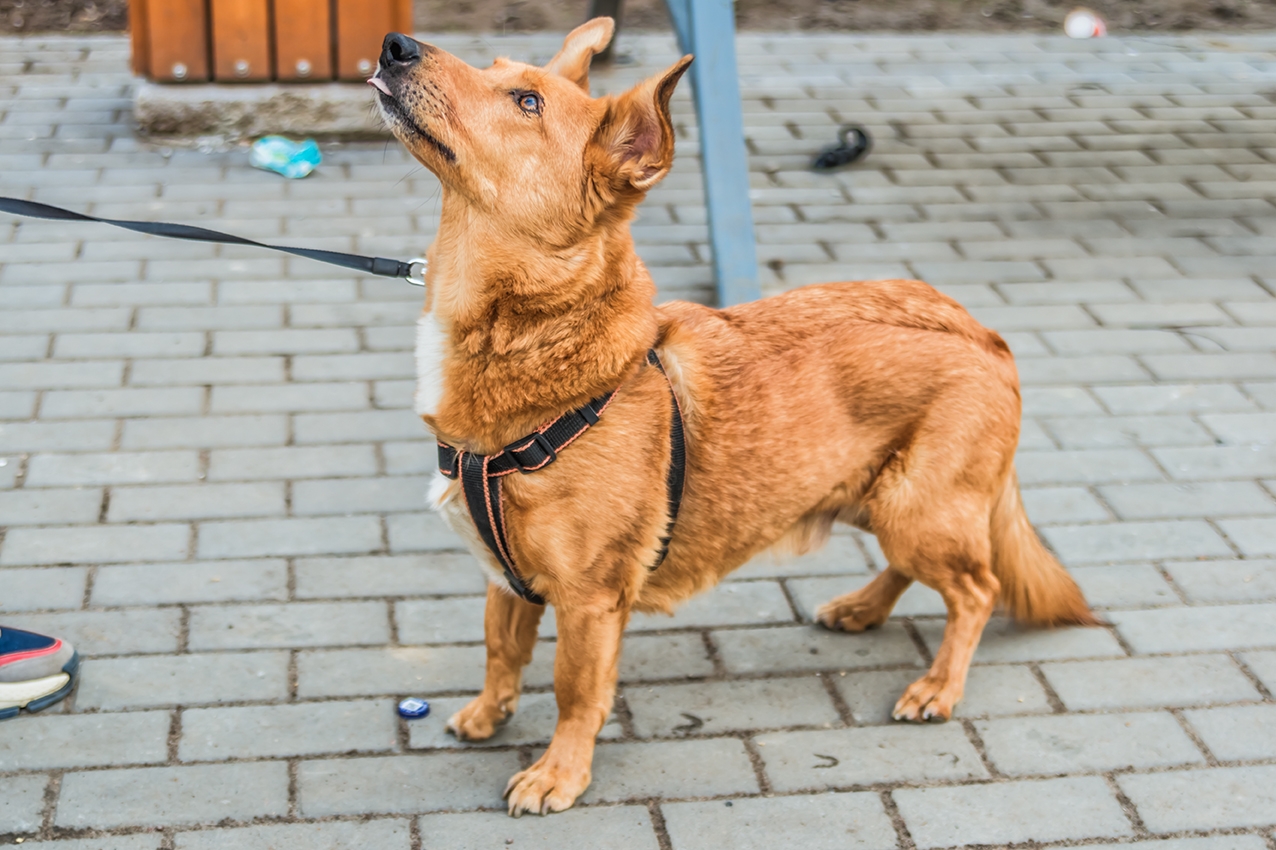 QAf3pVTML9jEb04aqbagi1ERpz-MbNBQv0yH5xMpMU8rPMHMlDPouB-I1ZUGLxCS0_X4XNjSOr1DWKPYdTHeeXK-