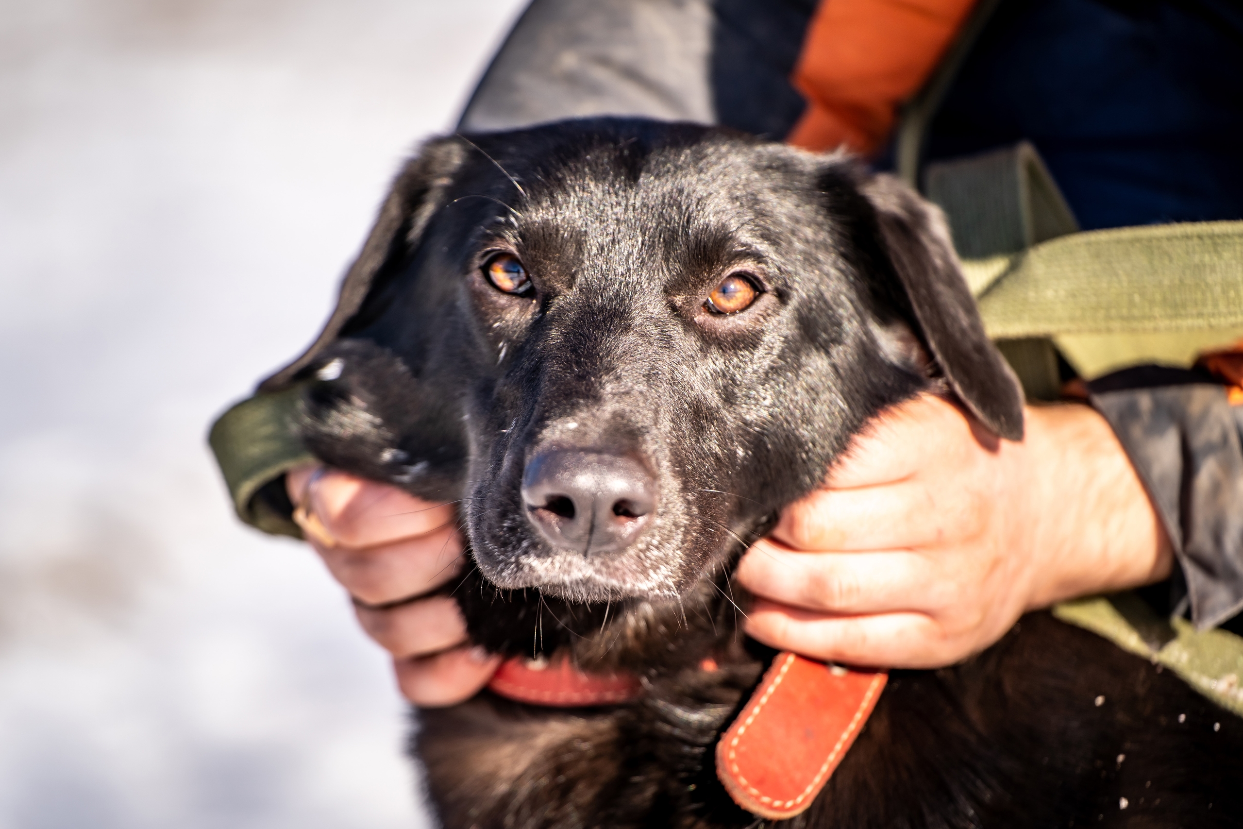 RMriViKjOBH7gjYkUUsGGgB931VknUSlwNy4k8qABSU656UlehZ1p2jsm3h7Icw67K3ccIuVzHHidh_at_OT7HUK