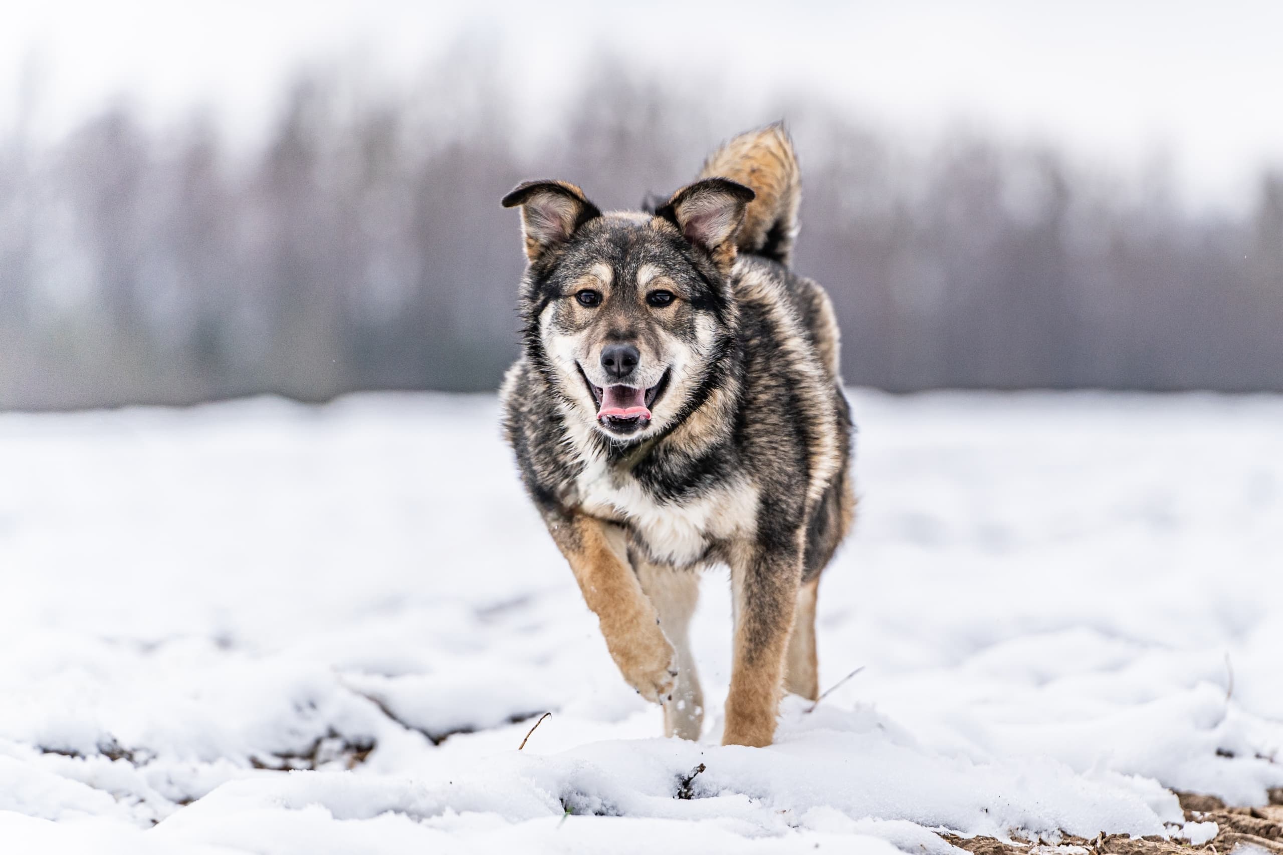 Rsv2r5zl2n1Z4PO1LszNnW_2UZ-4sXbPb0SkkWEg0q5BGrwZMU2ntFuq4i7qtAbsaToOv6PASgxpitP_YHnDWV-v