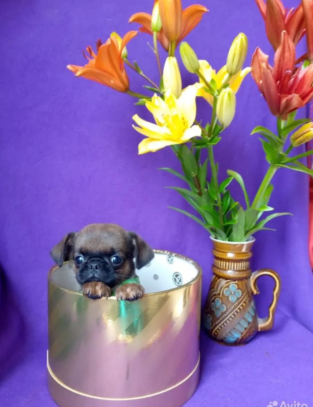 Screenshot_20260422-131618