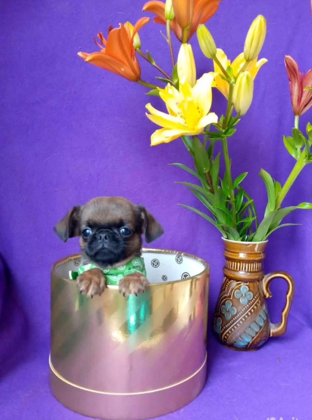 Screenshot_20260422-131701