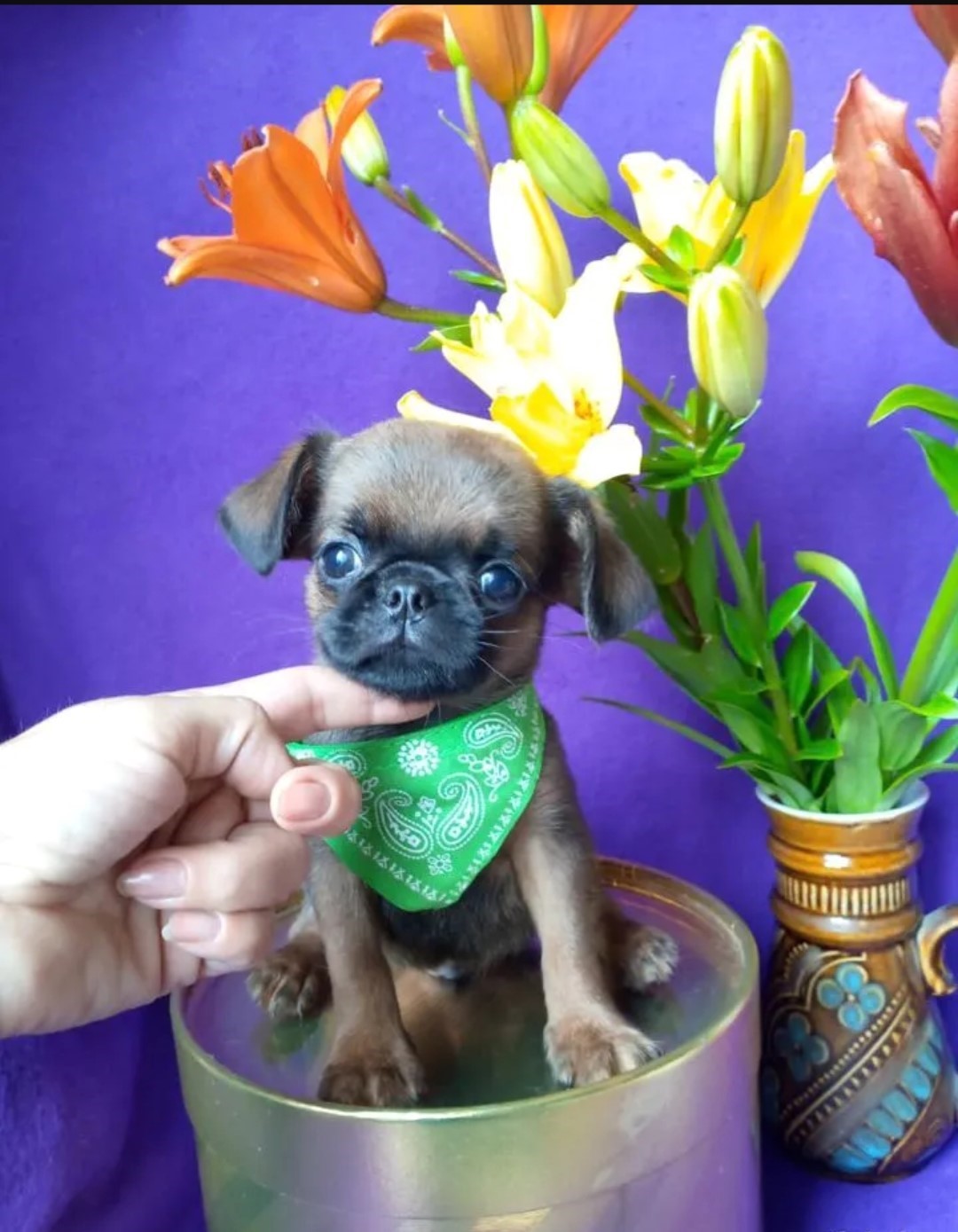 Screenshot_20260422-131802