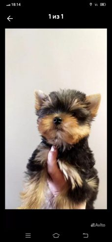 Screenshot_20260423_181439