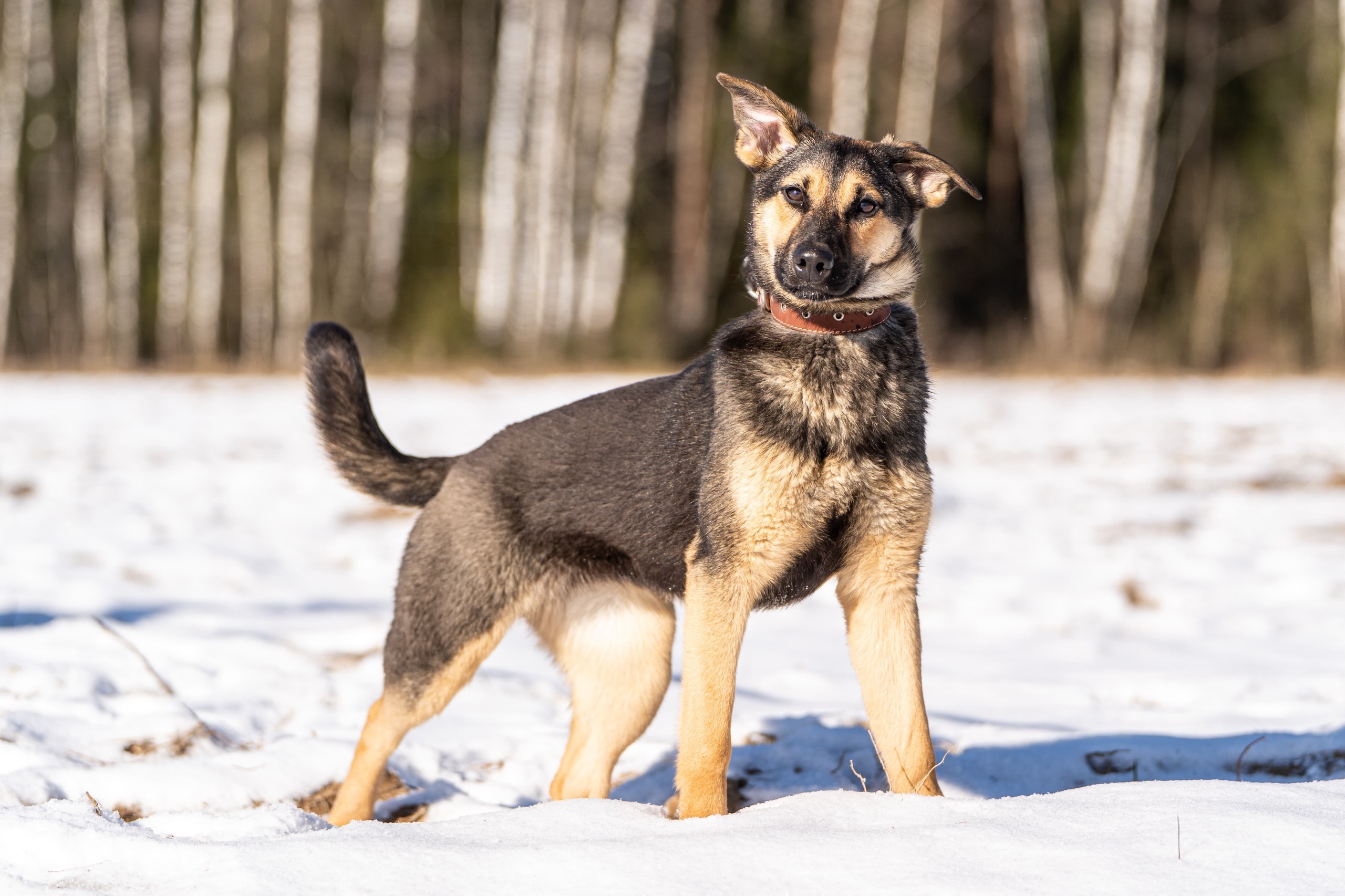 VNuH-DxulYdCD-bMmjQnZL94Os3lL3Z_uWnCR94NQ0flGpr8nEZDGq2YmRuYGJZzt06UK3V_Mj9J-YSJZvFKlF4