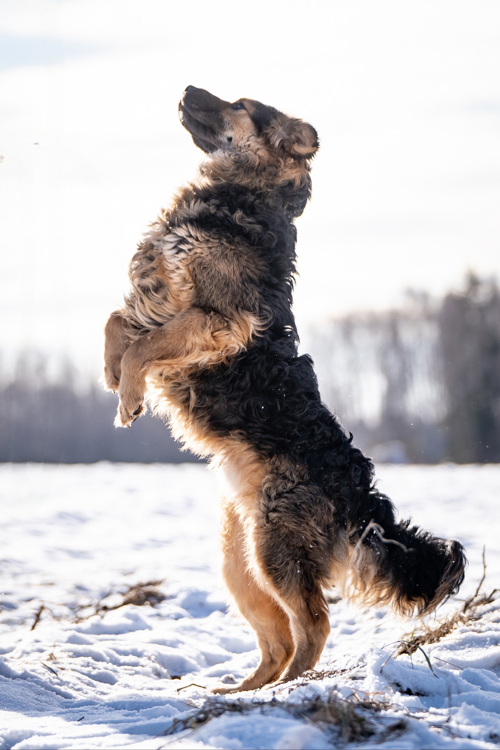 W-YitzC1janHftH0Npfc_kBIzrE22XPv3nEU3ND9FmwEv89w7E6bwCxWTo2NtB5ZatiYODlor2AoUjx305-Ium1Z