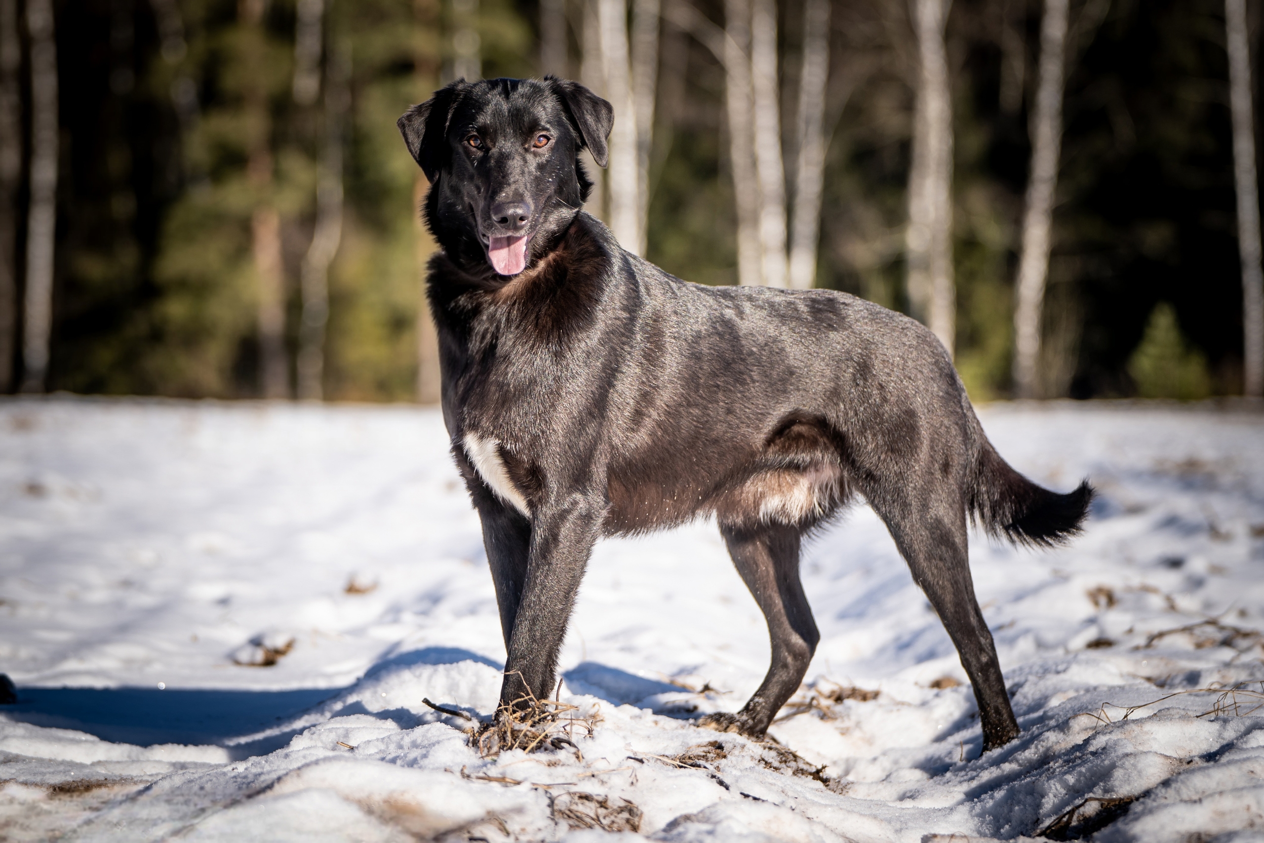 W0RNIWVcpc6Xs9w8z9PUcLbMJOsu4bi8-52-g5u_O_BrejDkc5FeBt90cQ-N_ougwvRIrZ6gaWWEng4nDlESUA4d