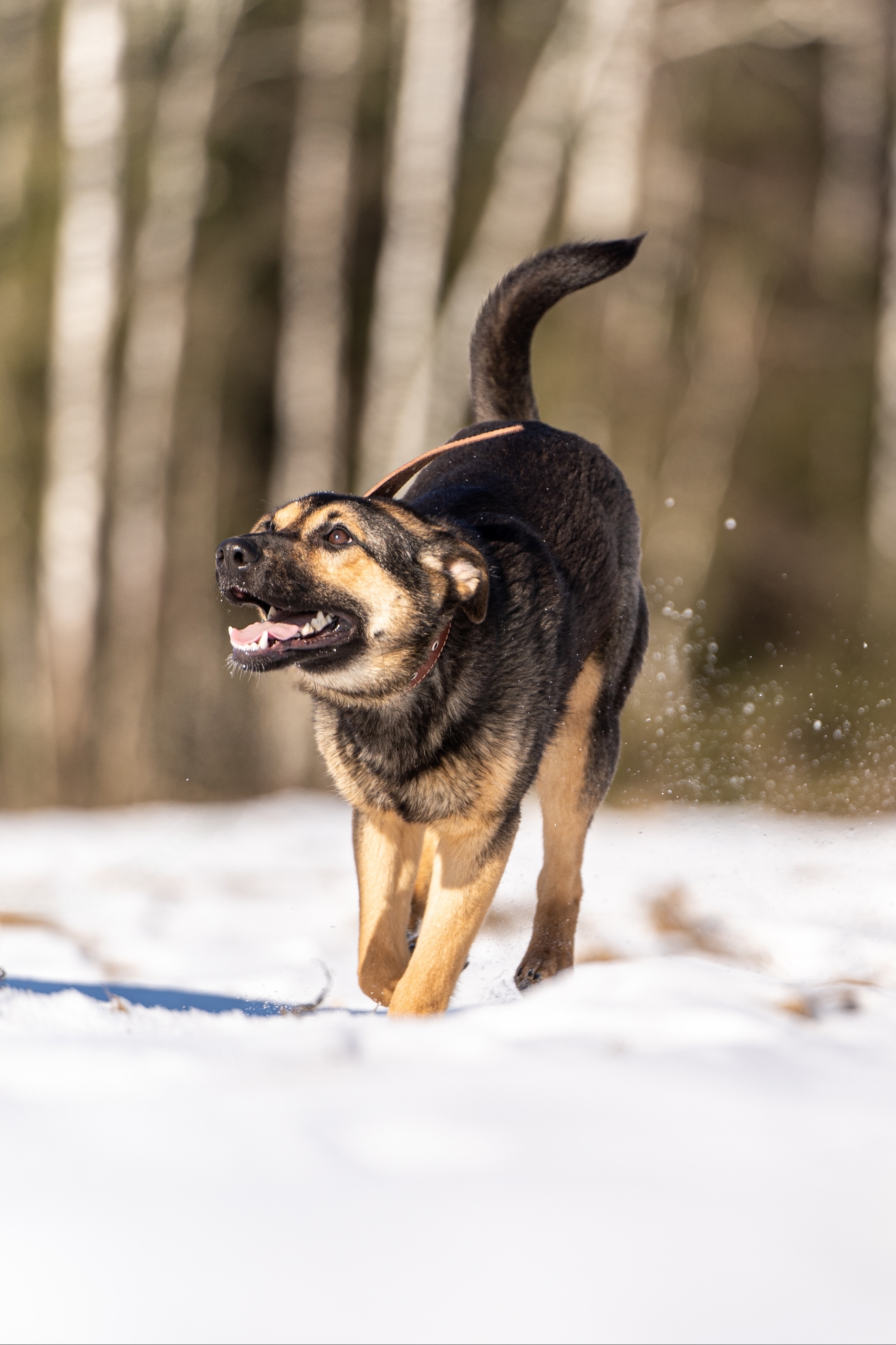 WRalvF6tvL0QXIEF09TYk0m2jj0mWmjRQ787DYDzizW2Sk6s-TQw5fOwCdHYkUwxT5jSMKi4GFOvfKbv97Kr5st2