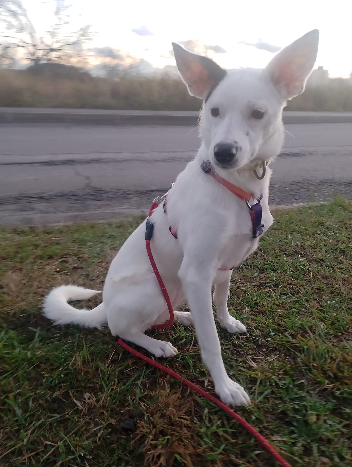 WhatsApp-Image-2025-11-14-at-17.12.57