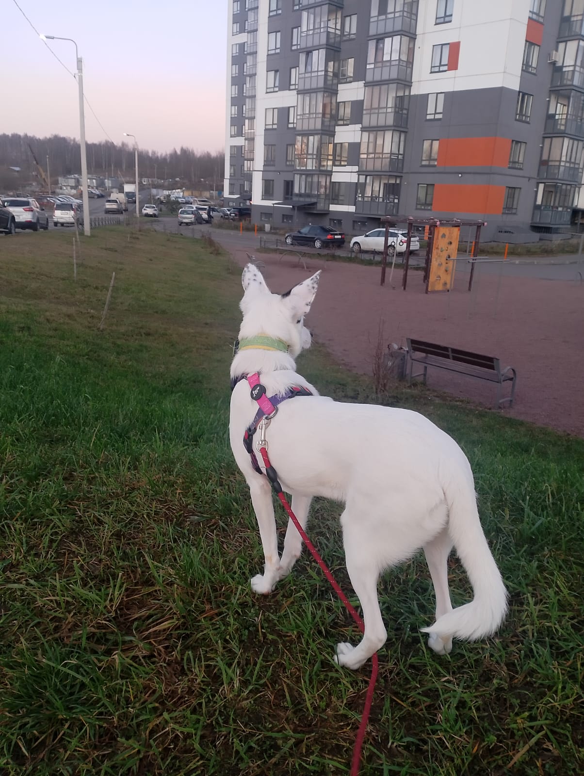 WhatsApp-Image-2025-11-14-at-17.12.58-1