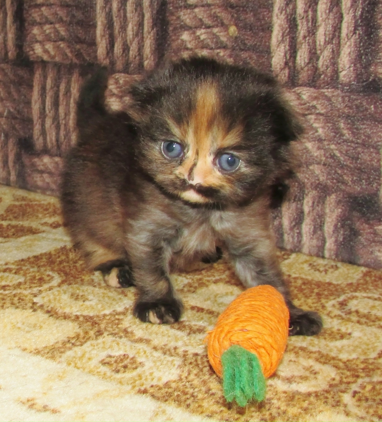 YO82cac7cWIbFX7-6Huid69nRquR7WiRdVjdaQ8xWdugFQtjwIXe7RFt7R2Qxklz-HLTnDdIIFAQGsHAfc1YCR5A