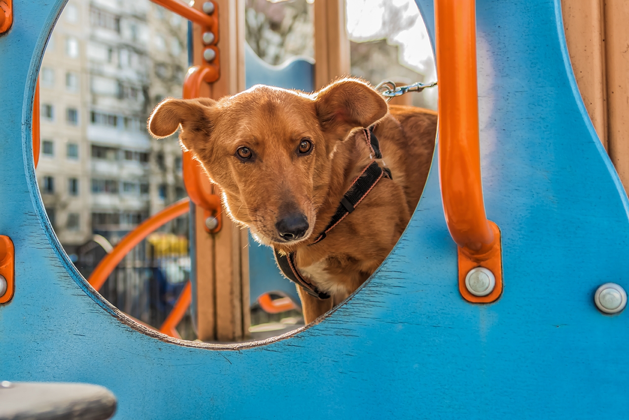 bm2x1wF0tkHiFYP8JAdXJqWx4gtPUlE4qYYcMp0e60nYkRi2utH88qeaQsKOA5QvRzq-HvIGrpb8F0ZUdnFrmPhX