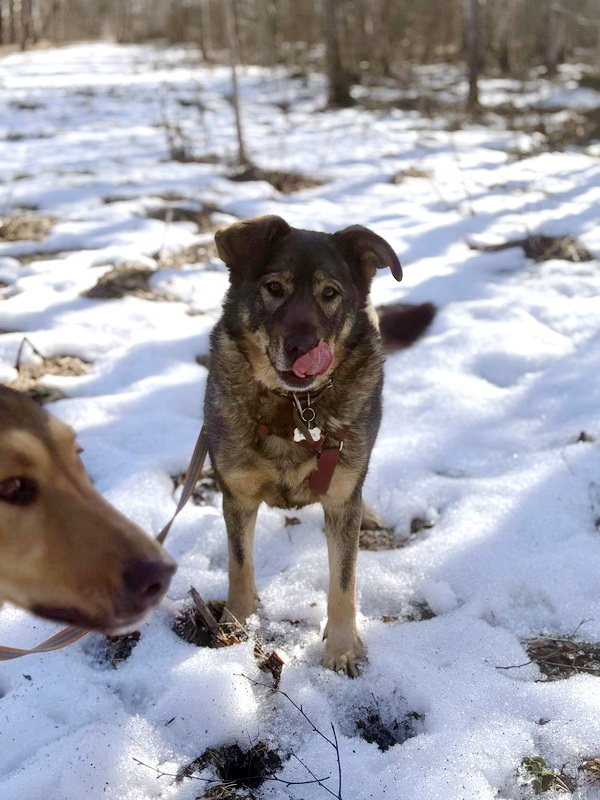 btPR4IoBYDgR65JBhdDG5dUV7m2NhFq32i5bB7s8Jb6nidevp-sPVXDdnoEfNBpZuolvoKc6ehDP9JMiU9K4cY5b