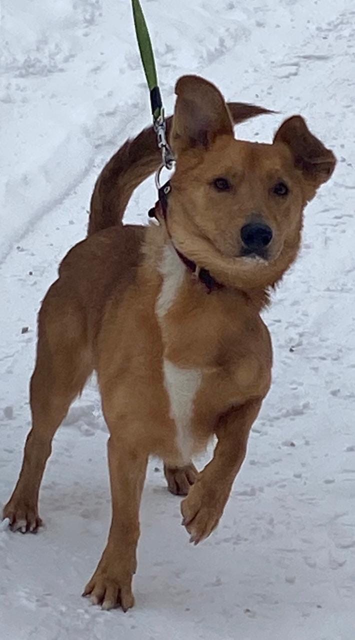 cOllBHs35GWO_JYxIbArvKwwrv84xNx80kJrUh8A1E04YLvyTnphHE0rezs2QnQYtg3t-aVaWIFjk-9s9qmr2wGV