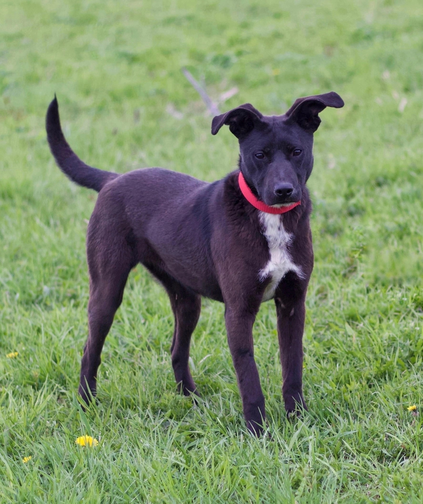 fvqYGugckRRGSy_SjdrGSTlIpe89b-2hqCqwlg99JRSaajdOq9v6URH7m1FChnd3TSt914_7iLtD2PCfAGtLA6HO