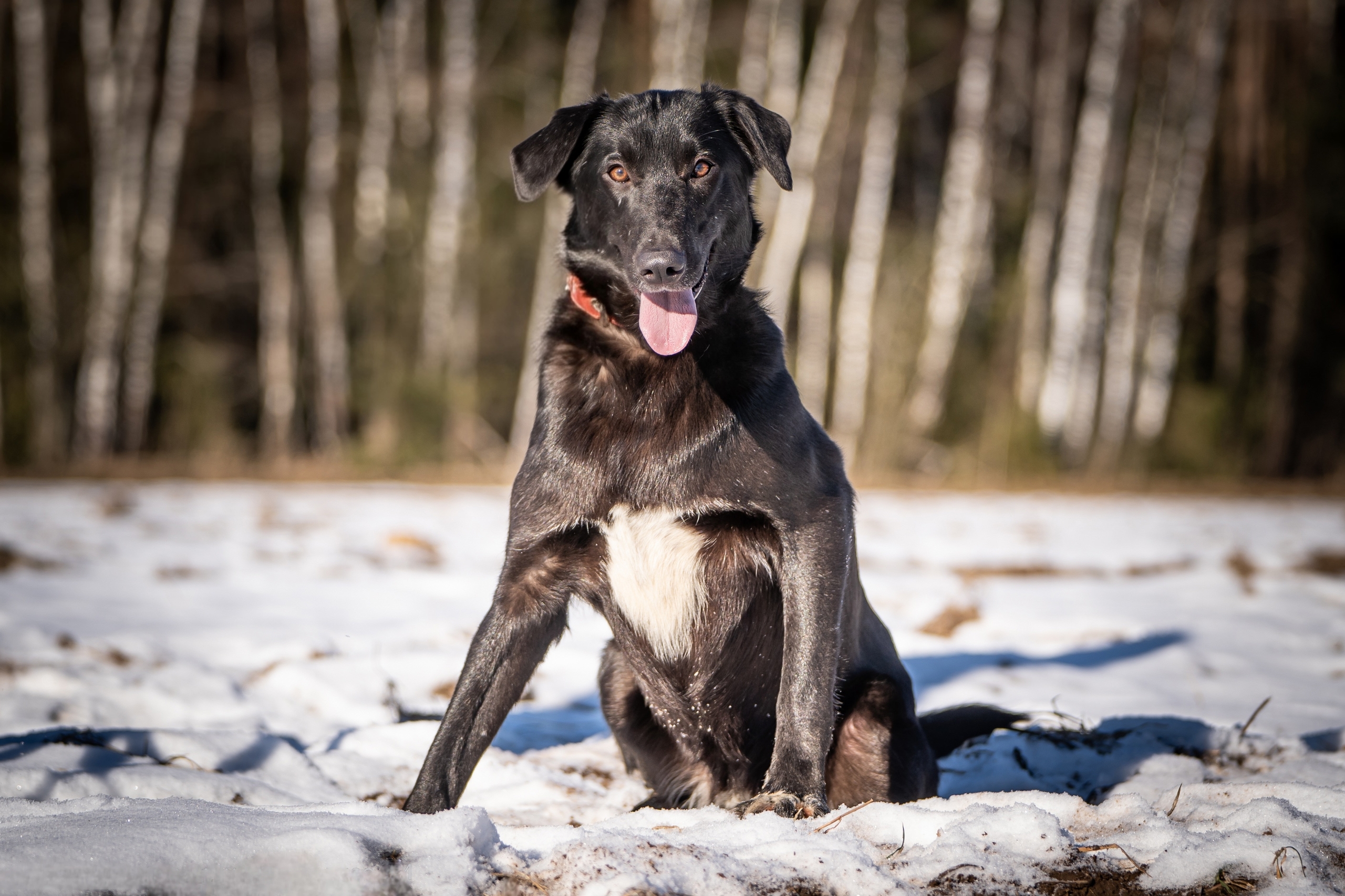 hZzrJ_7q1RVWbf3EvRe_Xqr-XrmfLl9CA0qAKwxns3sNo_nBVTrtfAB0Hk4YqjgdF0nqO1sRTlaksdSs_jE1XIyh