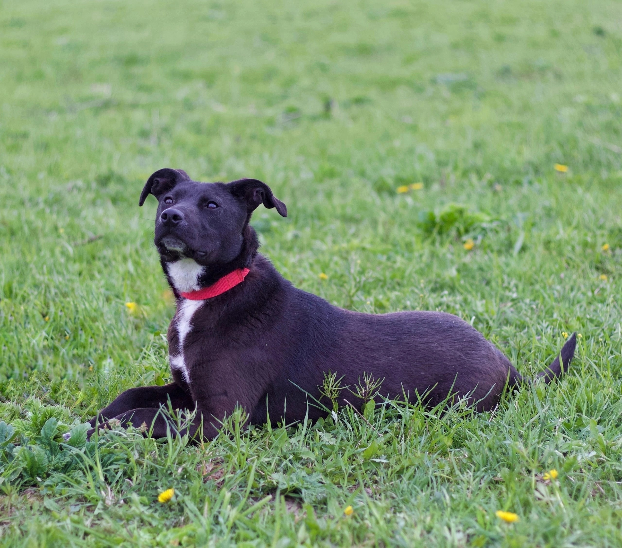 hiCRgwDslc3M_GIWU5d1Zns0IUV_whihAKPBZzyPKEXTI77kfrJtuzRU6sLtdhgTojG2R_dTkcrgkP4Ju5RAixkG