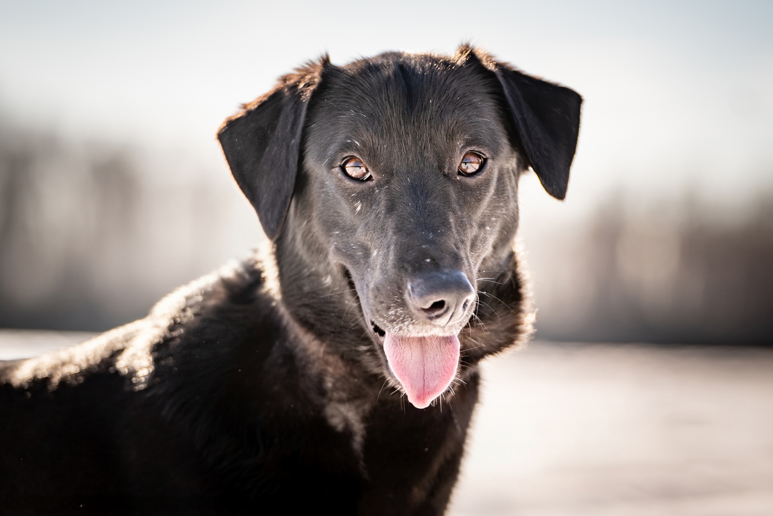 hmiBxTFT7Bl5GnDF58rBS1417JEetq1li-WyFPsuCFVHIlnydZO68G5kw7xXeSai76n2M3DhmEZZ_sYg_vLIyW7D