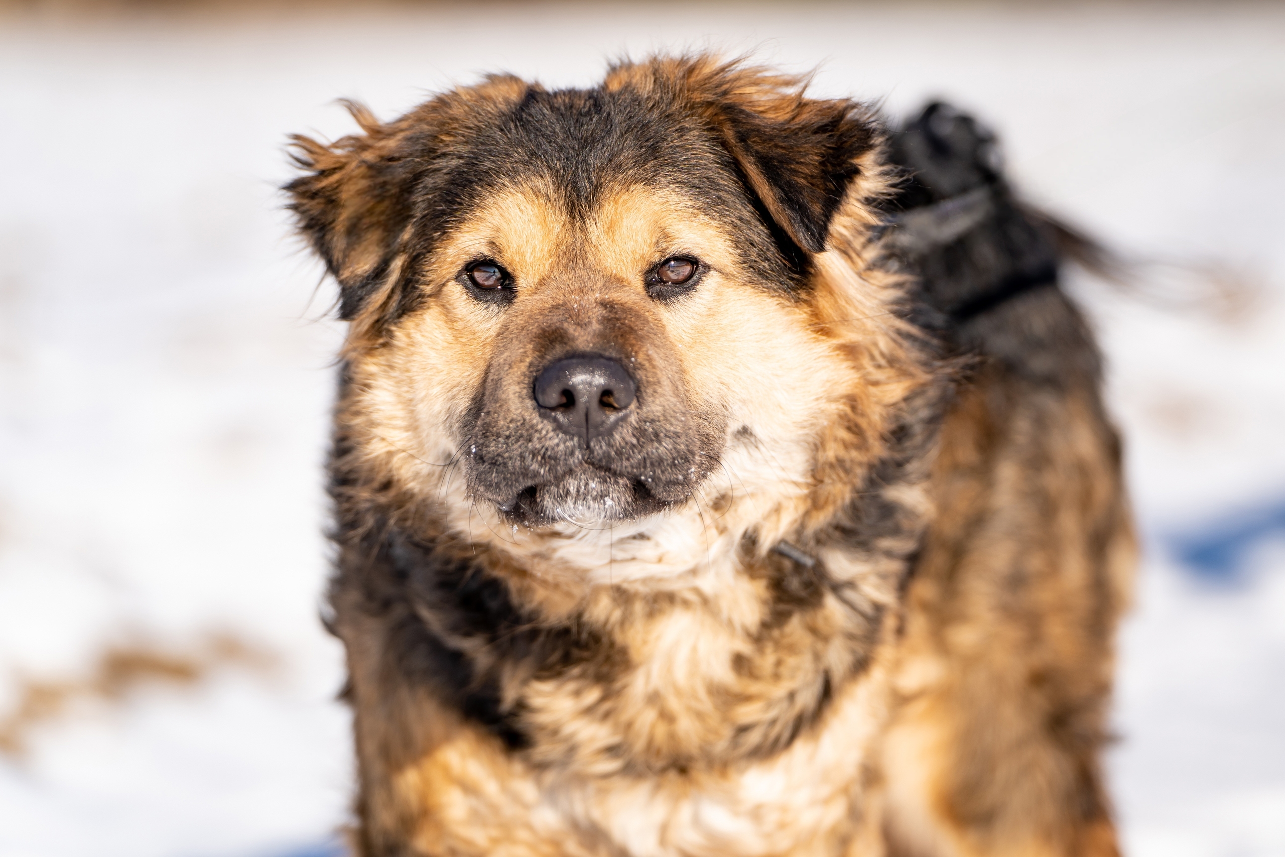 jHle1ZMnX0URyqAVP4v2FbiJIm1W67PS9a3Aq4L0-MytW9YlQYnhhXxjW10sqbhGWOZALc04Z5GtDCx06HVOqK7b