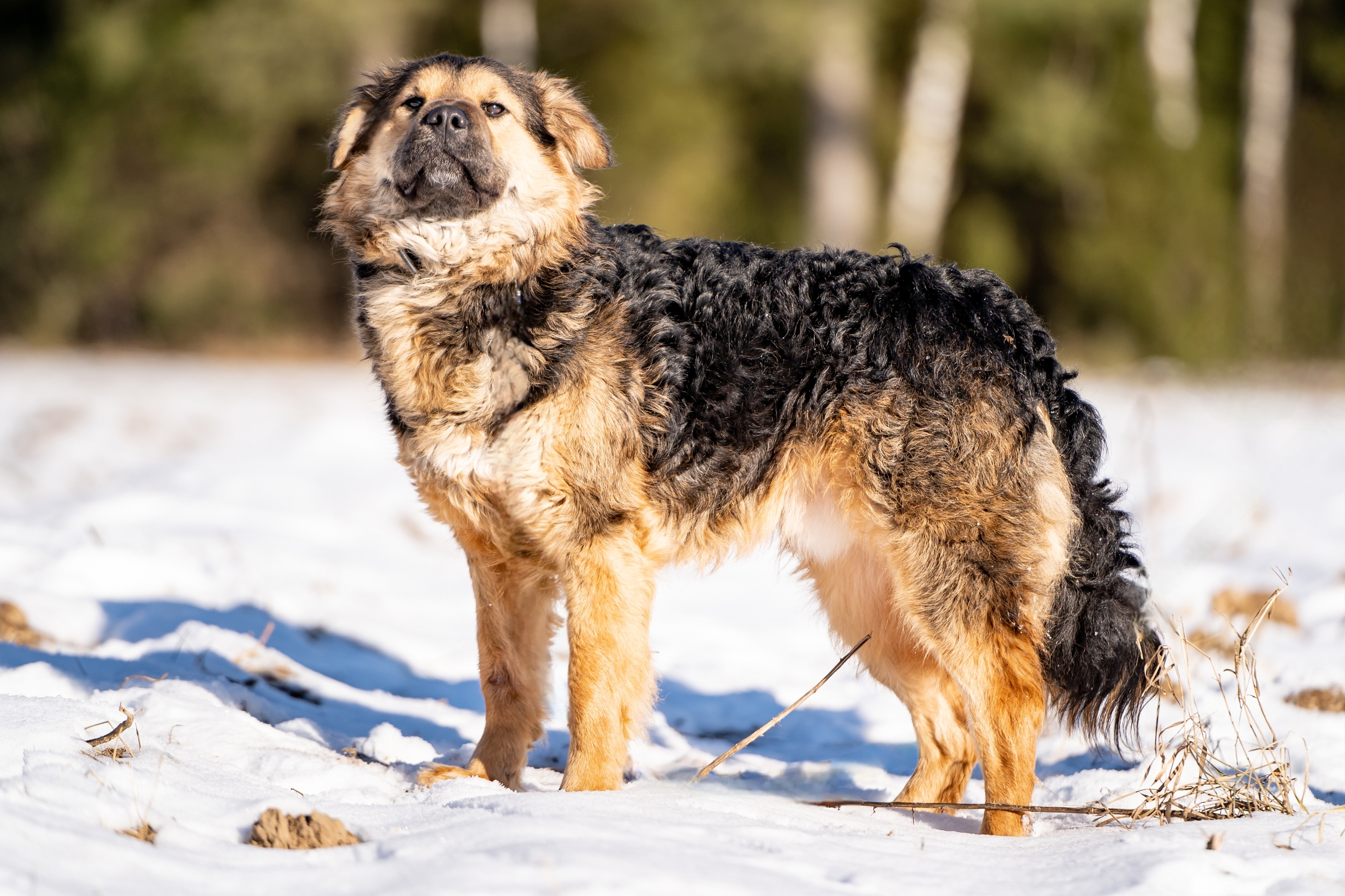 lBdwlAeHTa5y37CQy_10q1p-UKsAUI2jEBwtpksIJY1fpjttpyoIumcMQYXl0QMoJ5-Xexn0e6n9ZZv7JYyFwLrj