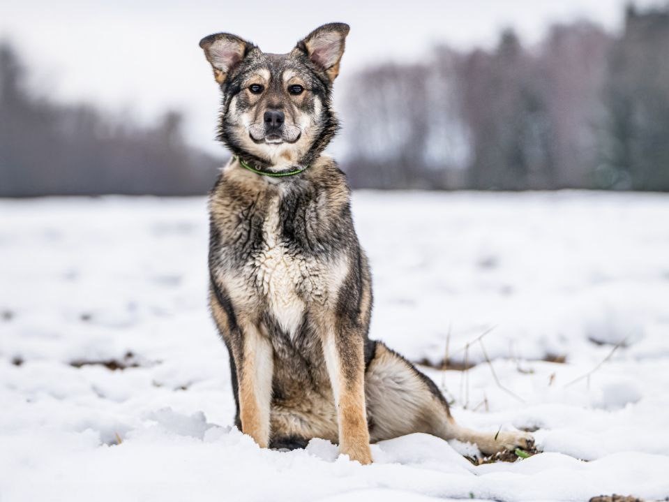 photo_2026-02-05_13-05-08