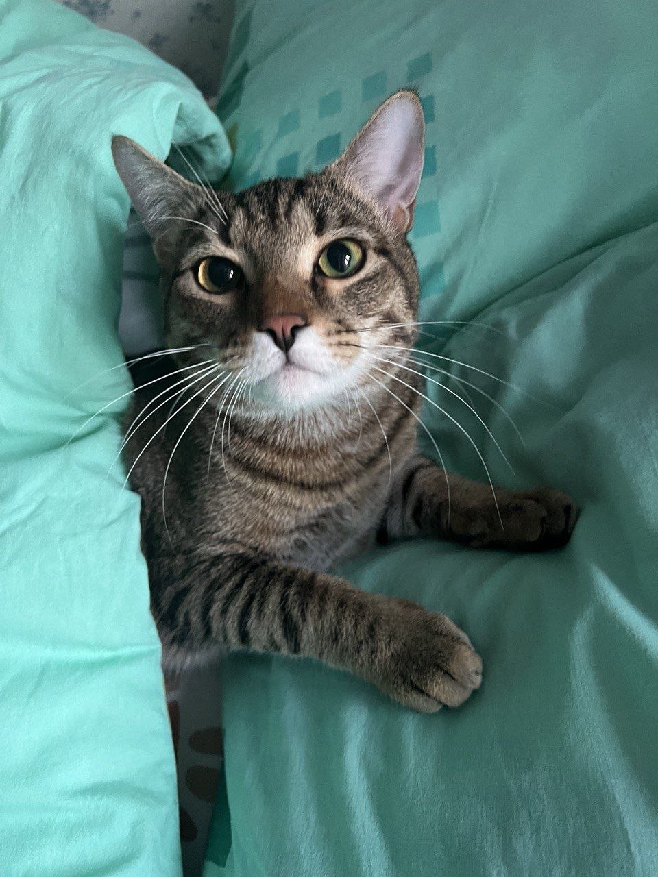 photo_2026-03-22_14-27-08