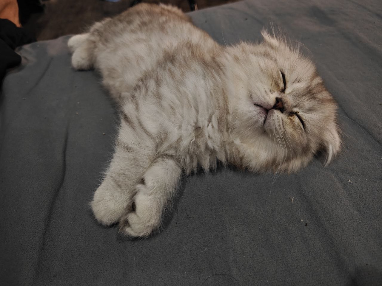 photo_2026-04-03_16-05-00-2