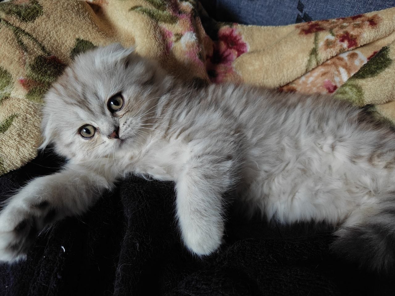 photo_2026-04-03_16-05-00