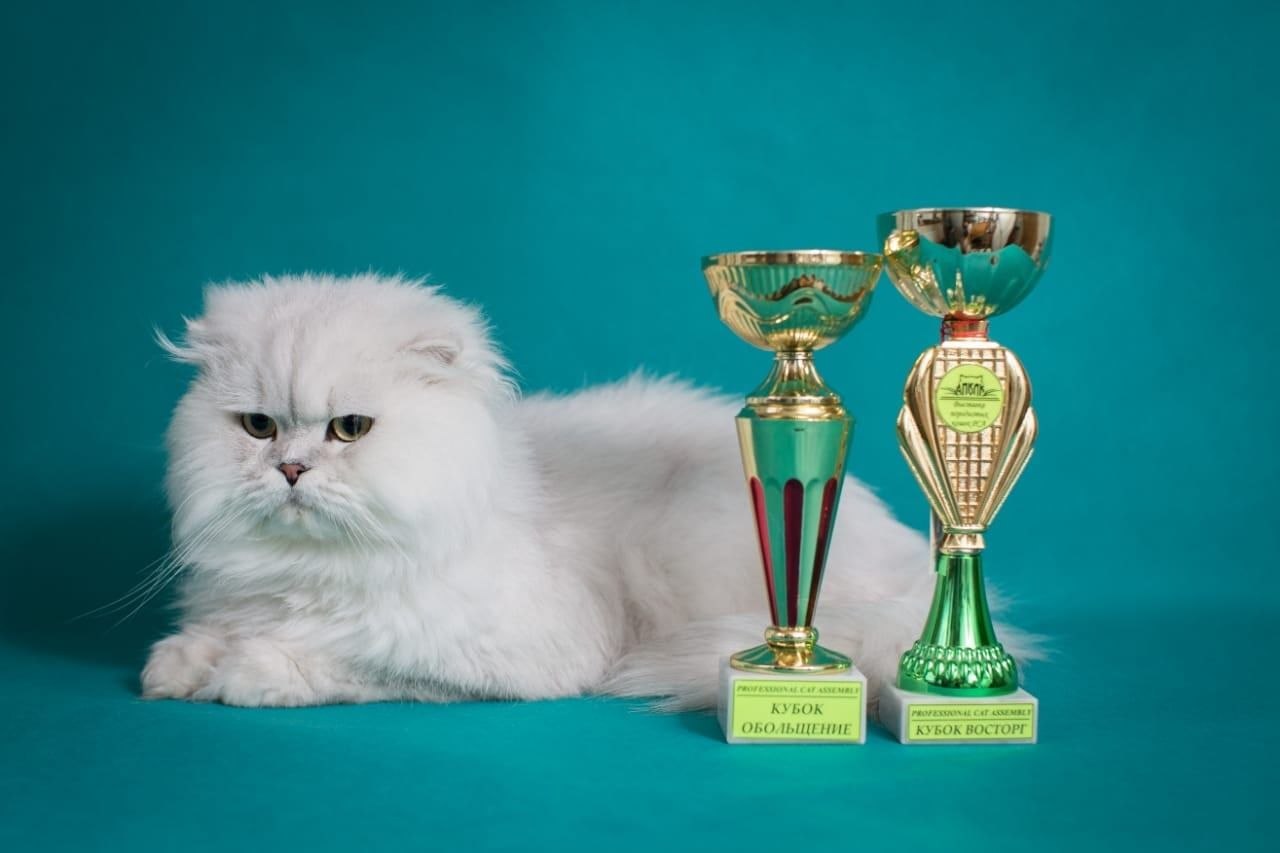 photo_2026-04-03_16-14-12