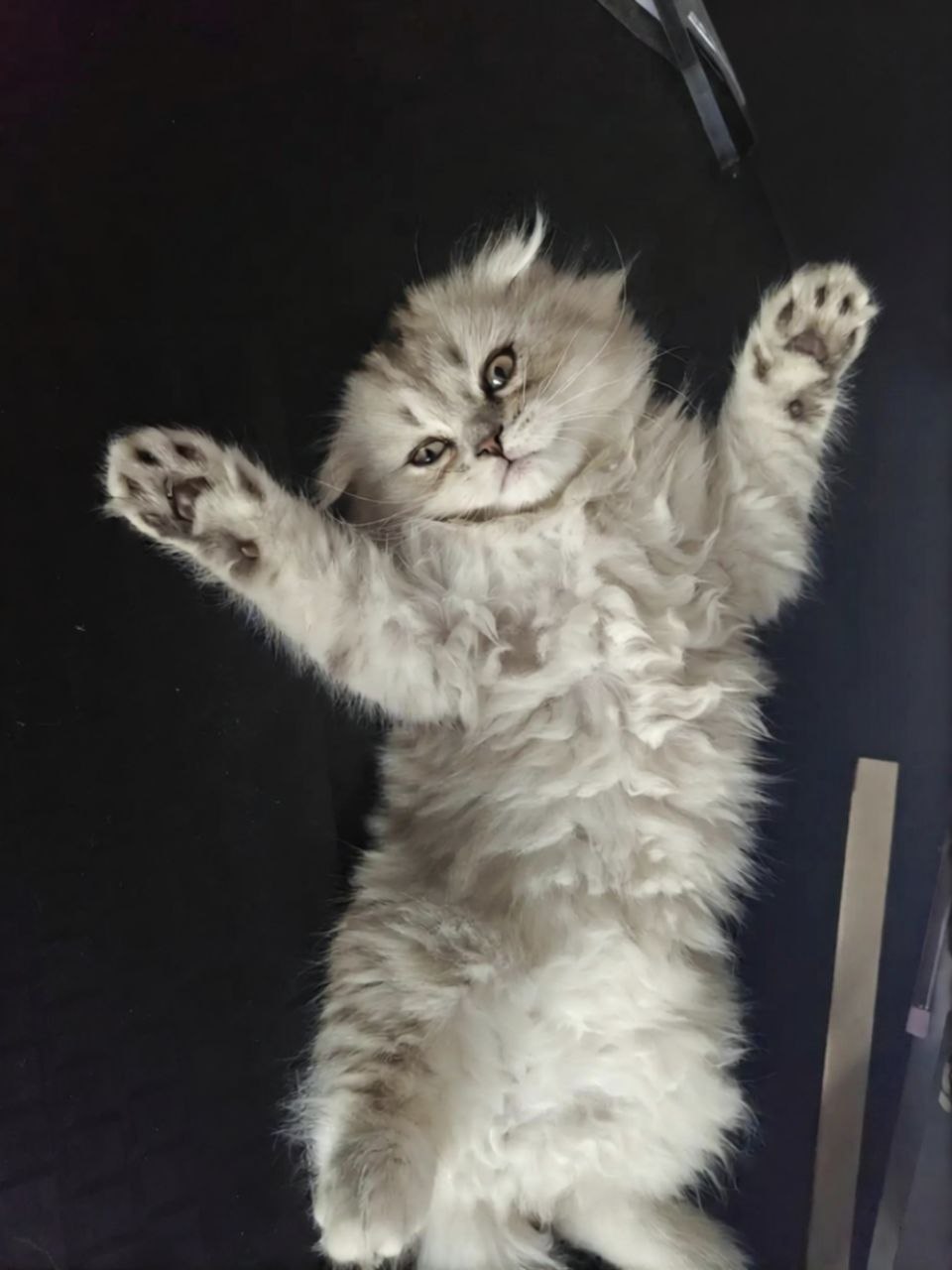 photo_2026-04-05_10-10-53