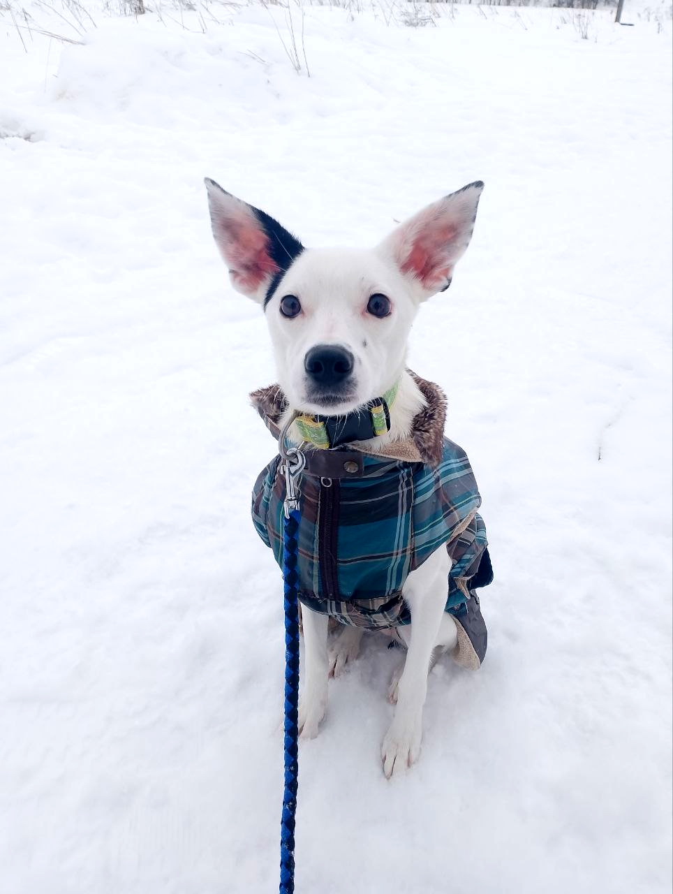 photo_5231017859134199276_y