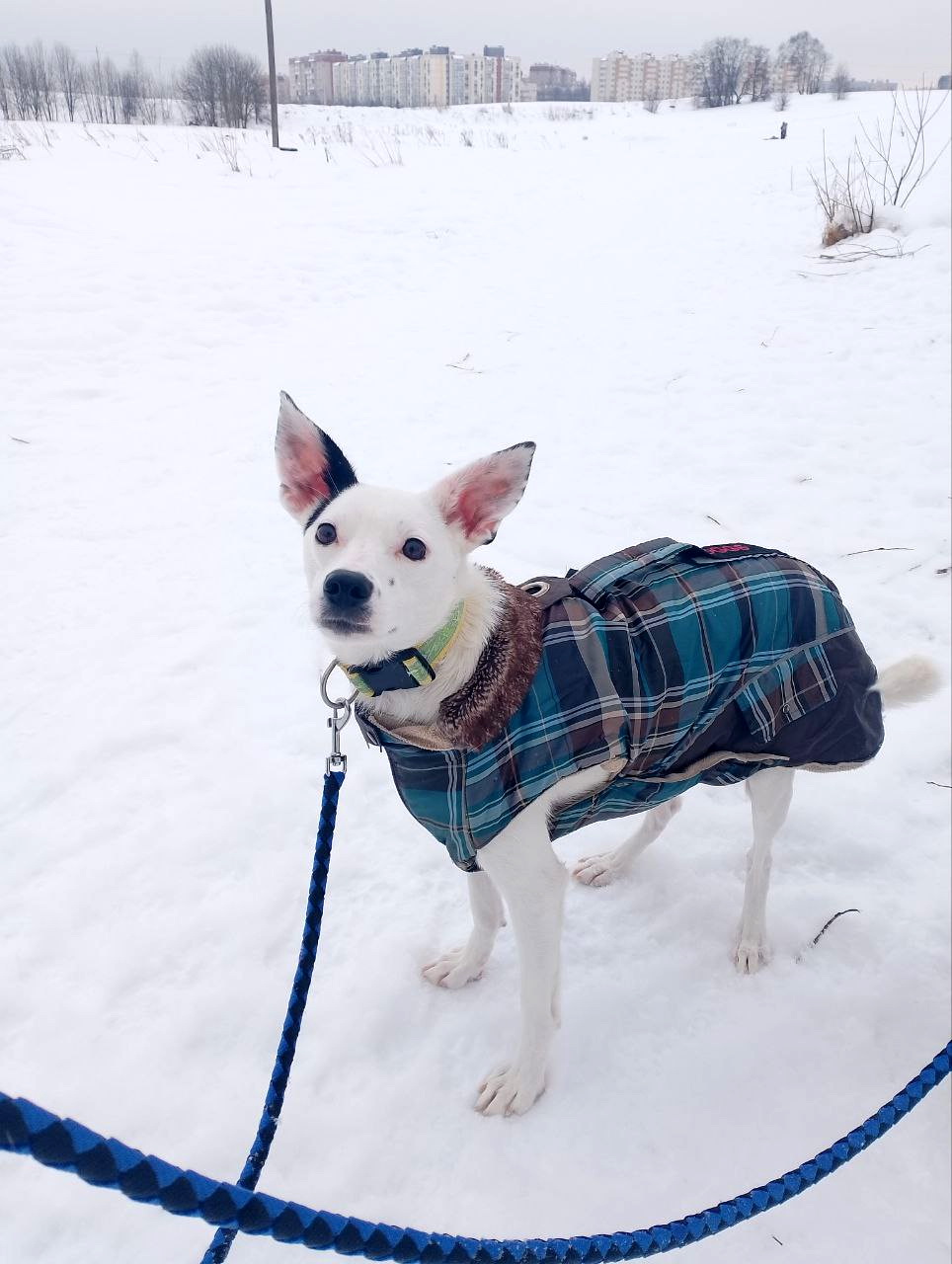 photo_5231017859134199285_y