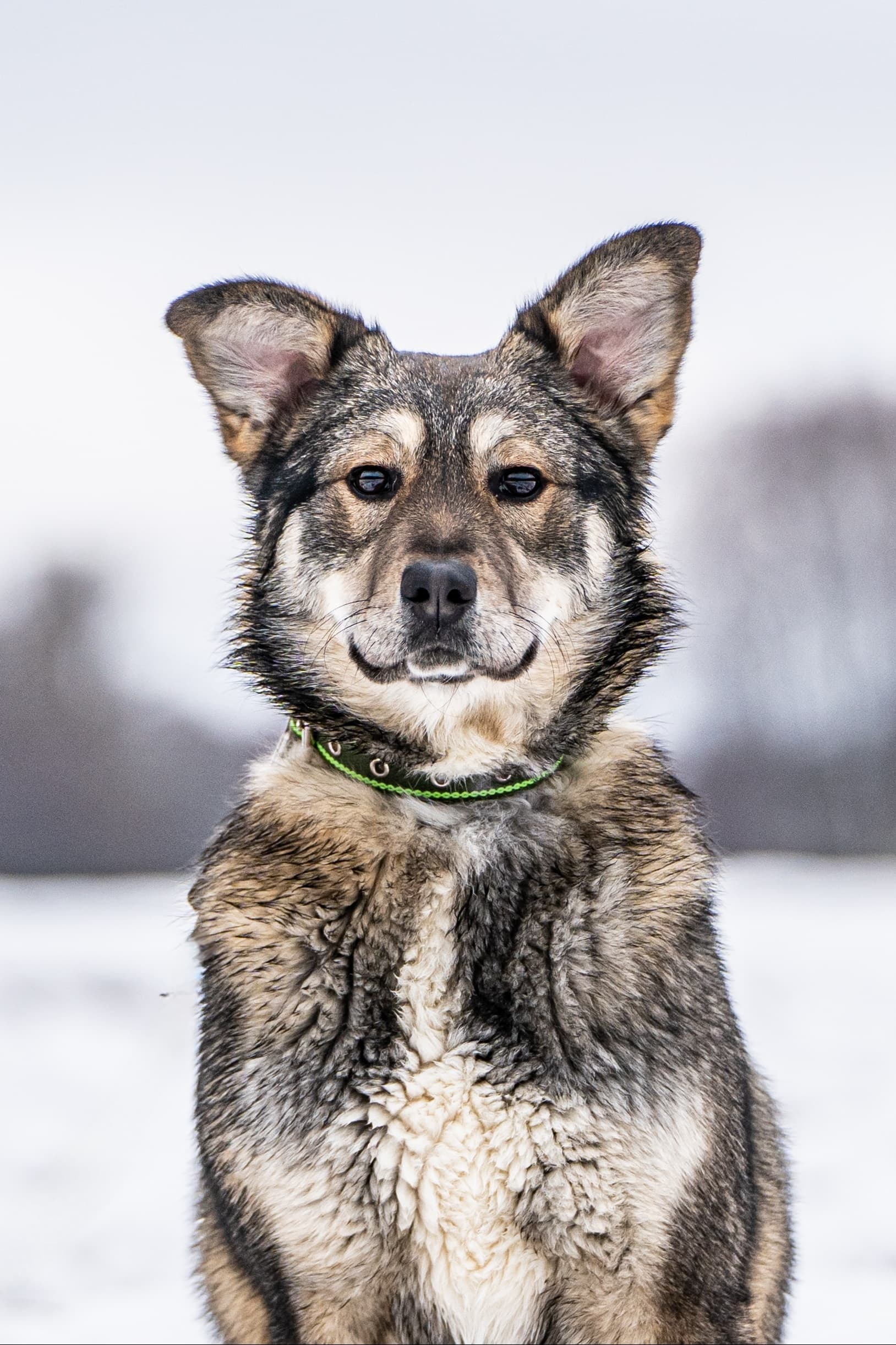 puh0P2Ky7xhZcK0o-aKw_ew55RzRVfgMx3l7aaJvg0XlsXyD4XM7ufFm5pN1rJbHOGg5kJOBFEyIIsBTaNyYgZ3L