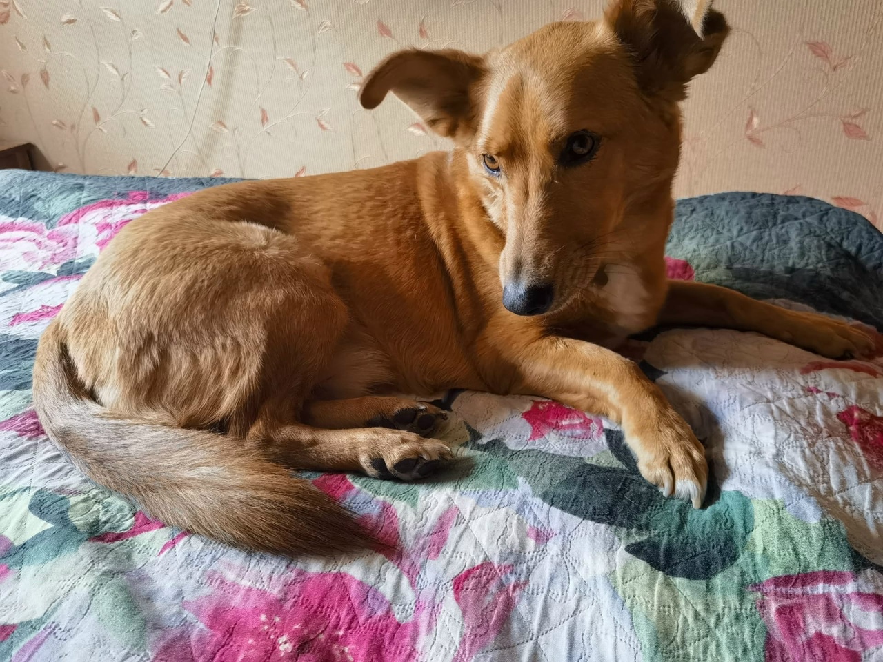 puluBLtkbpjHqqPW1kBwaWGjpN5ubmU5J9ldx-yRnMWv35bM7H9gT0imLHiq8oiqQ2C6Sgi7q3dwjK1MOHM4b1NF