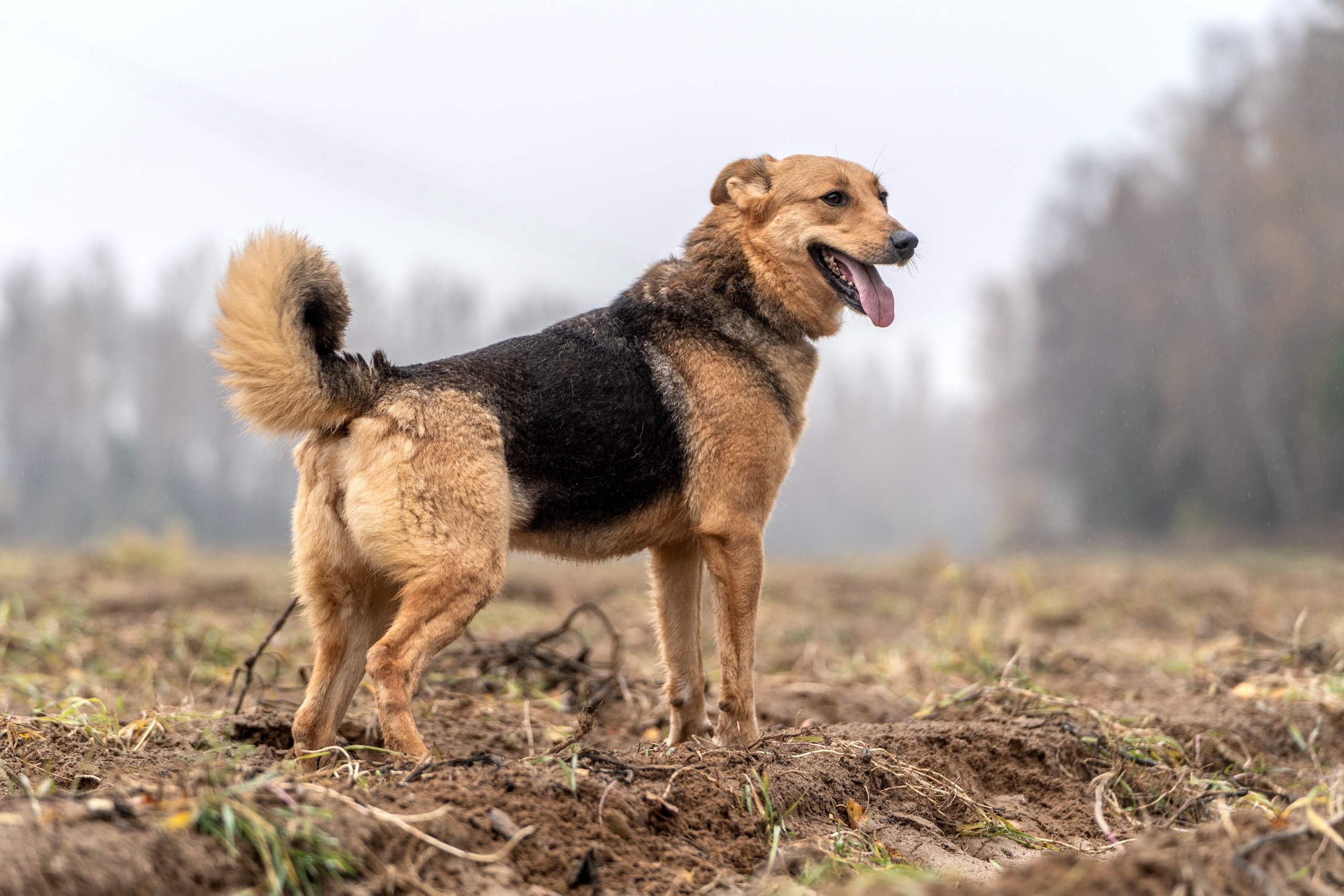 qIUyvRI3SKoRF5tIRbNPoFi2uV6SvCKTx91N9VMoERBgb2azwQFRemjcGvLdQ8bhEXU5V62tVRLJp1uB74bM9hKt