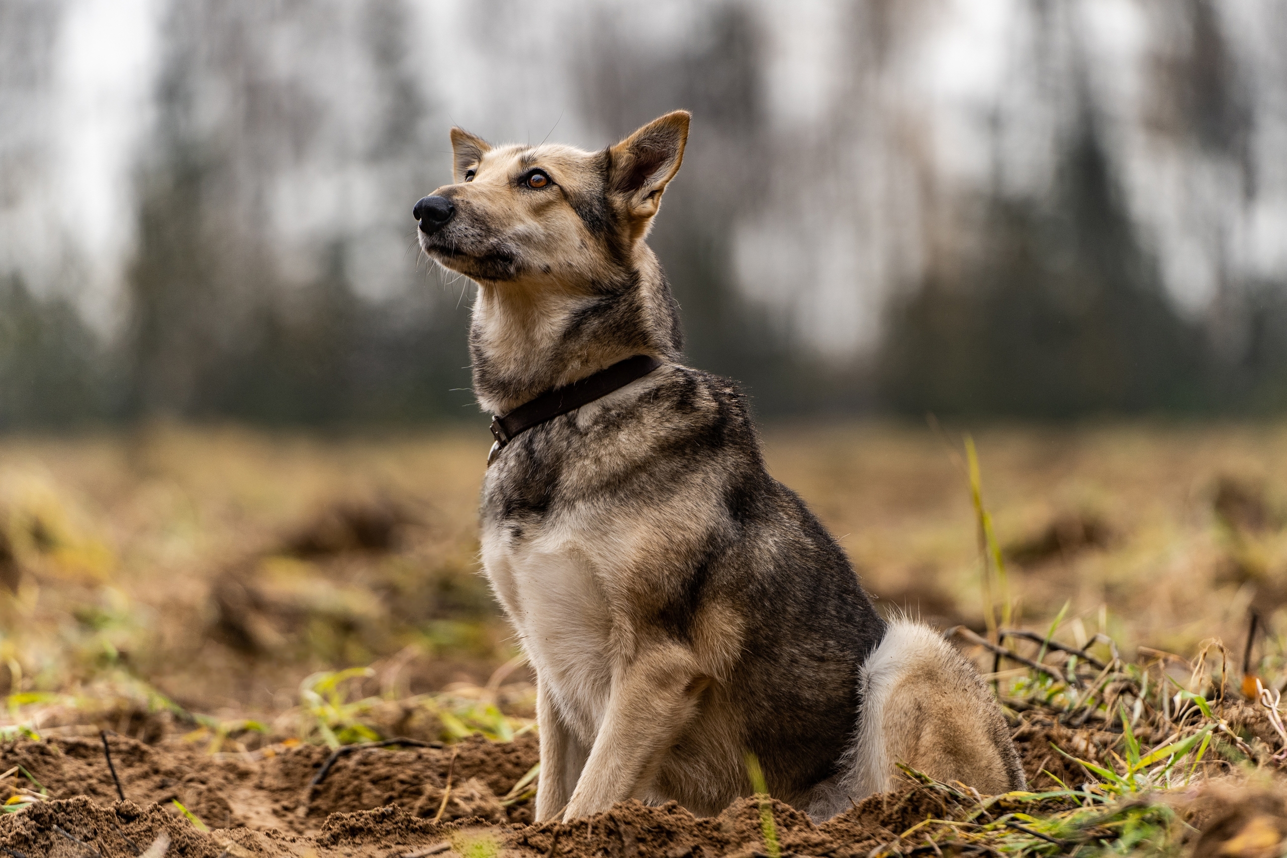 rU27knP9xeNUsNzSceylJRldaogoeQVfv_FWteaamJpwTVzCQqd-9oemr9VWTxBoF3zQWziCnLMoQXfnf9zXI4zR