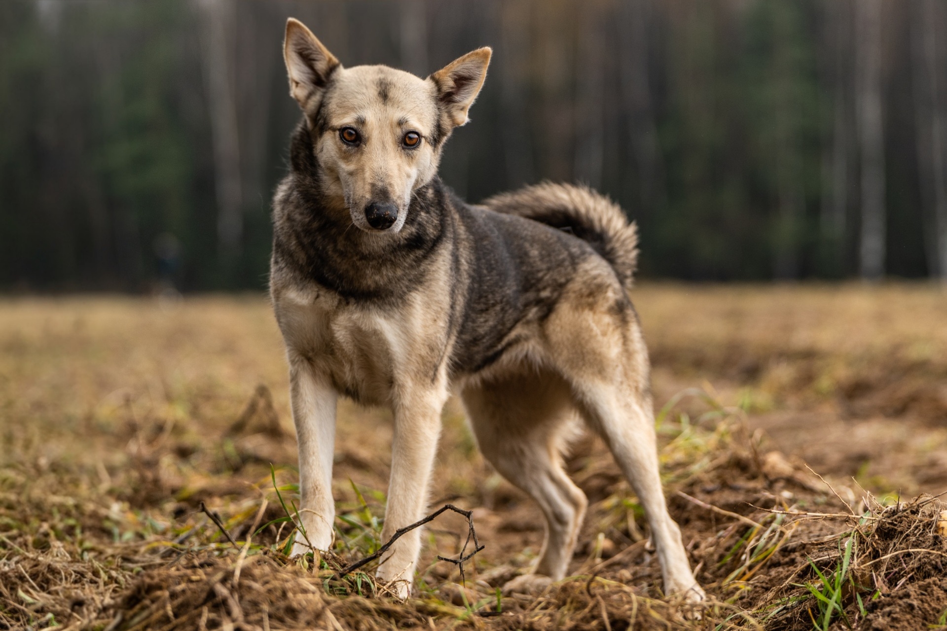 txkT6sVFROI1lom7nWOdIrWsh1DGqBbfZpg-rvIFGlTORAr1ot3tIgQbbsm5mi50iF2icFO-m0hCY1muYFxAk-NW