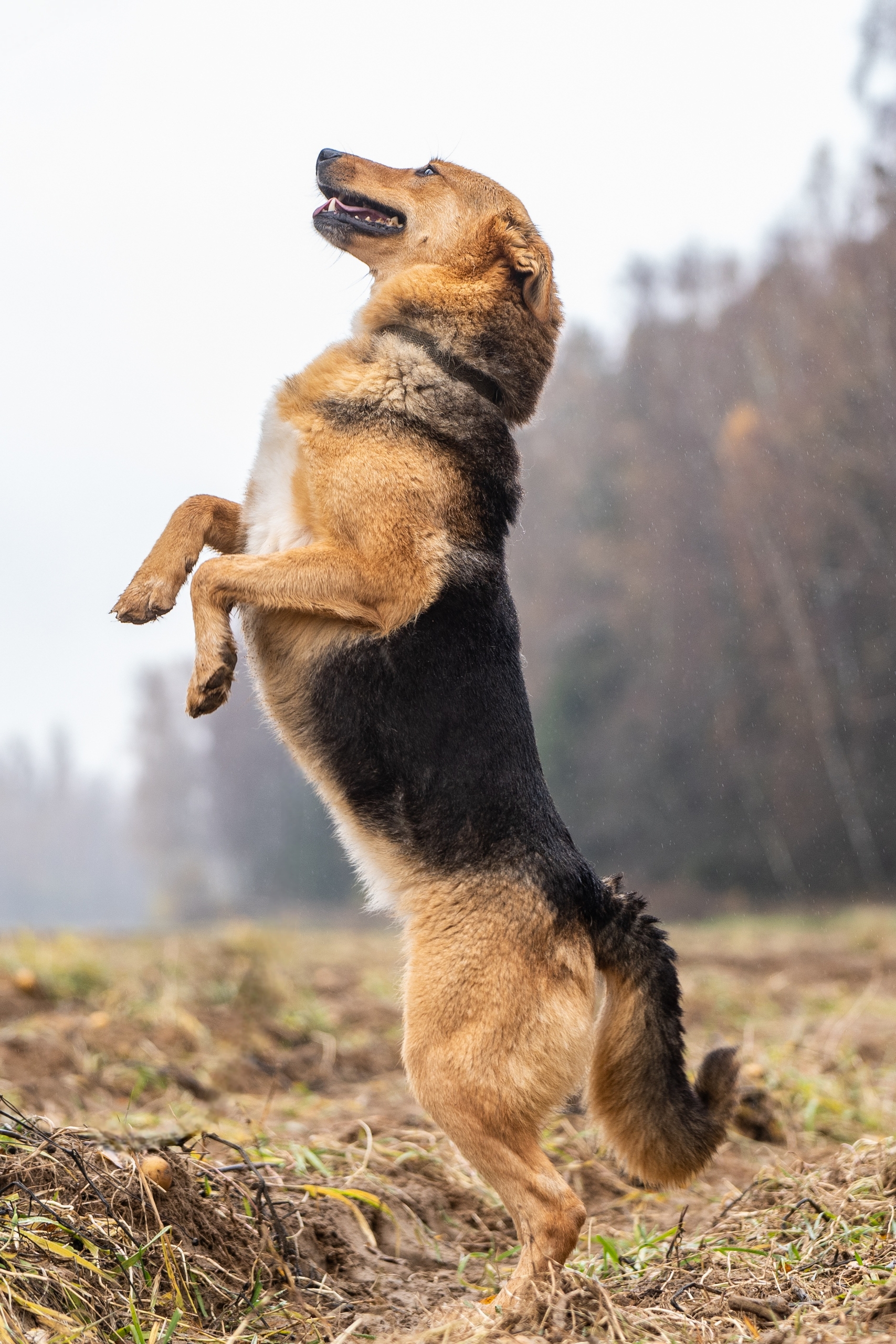 vY2js21jMrp-MwWtGZZd4QfEubiJdLdsdS4271OgOfo7oRajrlz5BPCQ2Oku39kucv6ZpRA70Cgze5_v0iBN0Wik