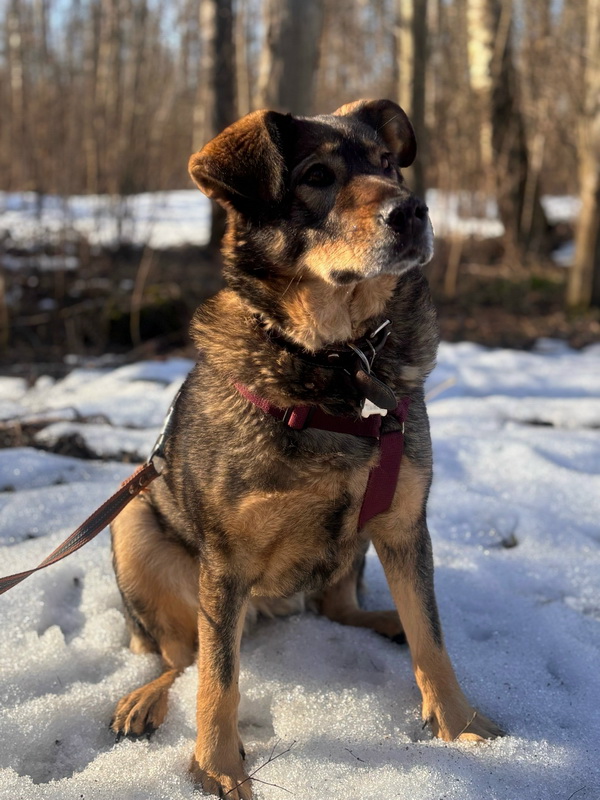 w2WUwJ6extqXkP88jGF08kkh3YAh1D_767ogfzkEL_A7ZopPAcw6rJ3VyaFBVYQRmLoEOTmwV0_ZtQUPKssjzed9