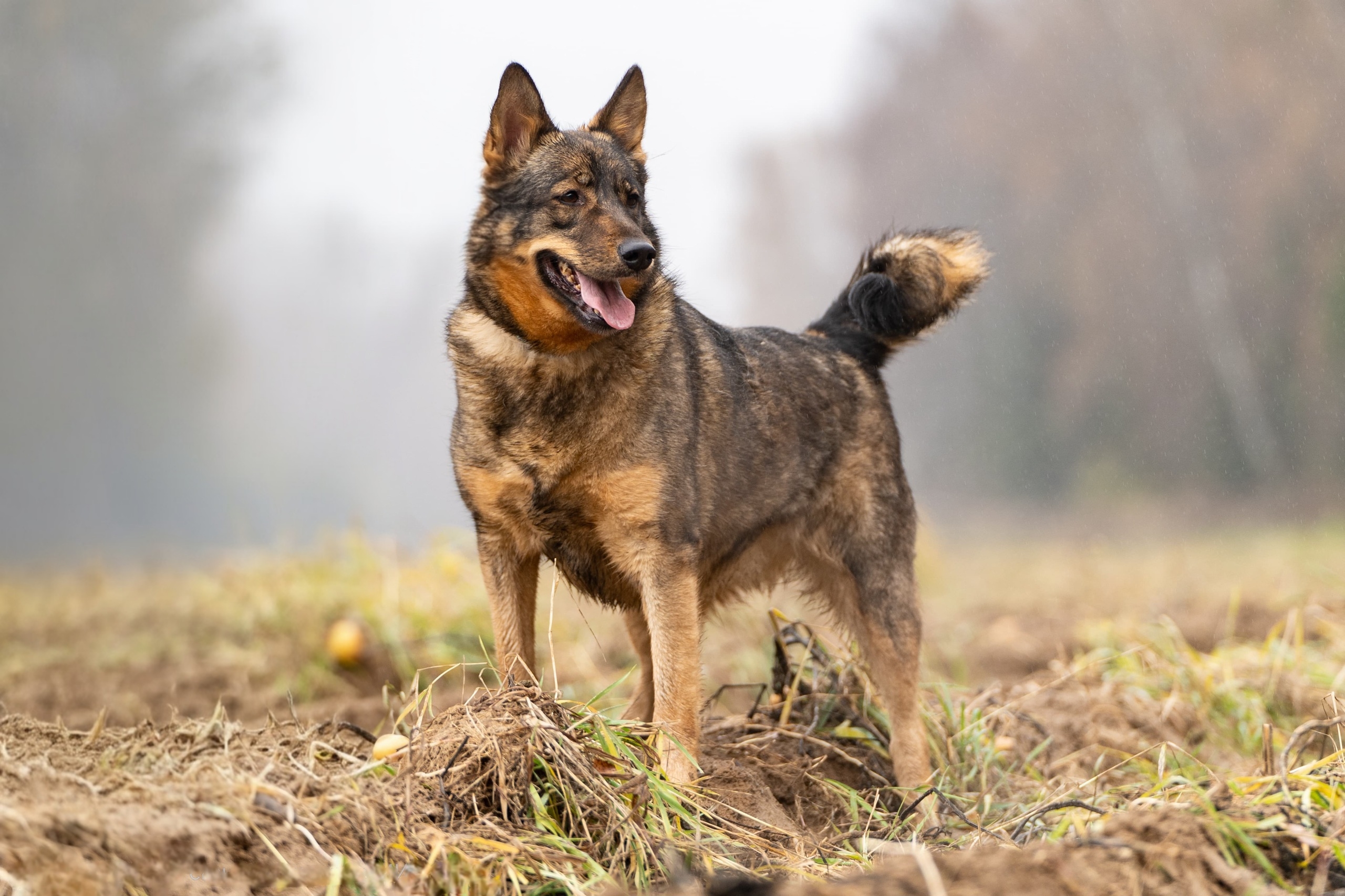 wVWGQdhSObfatVHFLbebtFsMA6qPL5aUJhdJNTniHlmWkMZ1-L3zhEsBzRY6I-ZxV_OIMoRYmg0z2JGYxqwzbR0W