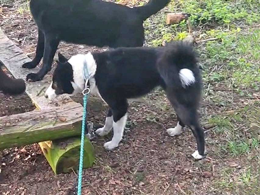 4-15