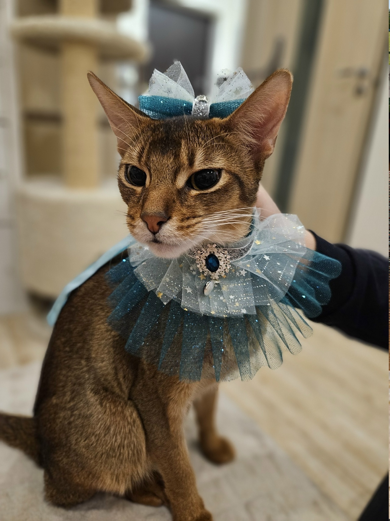 75
