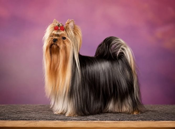 IMG_20260604_081925_370